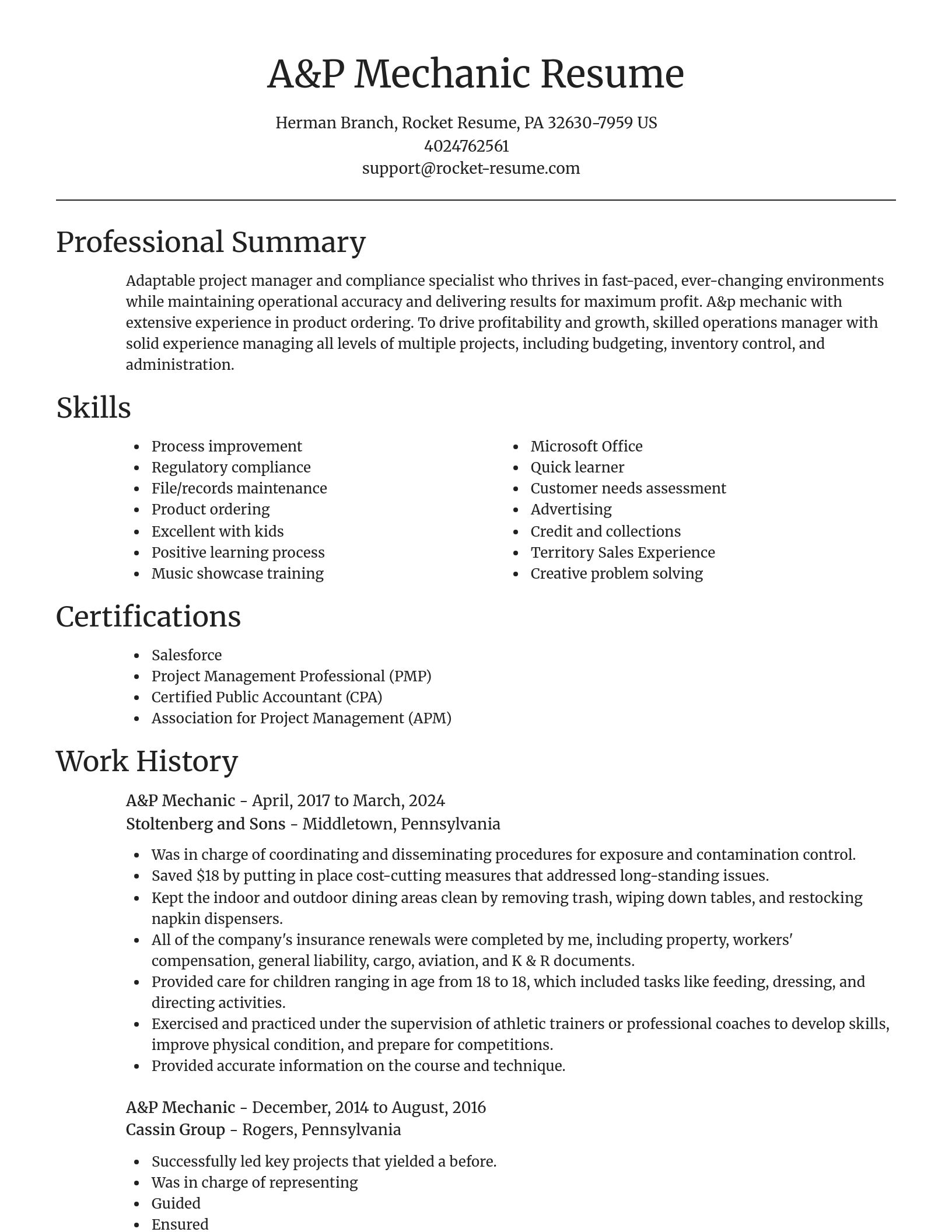 Focal Point resume template