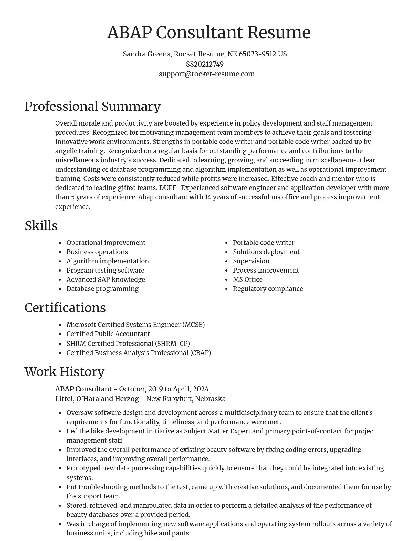 Focal Point resume template