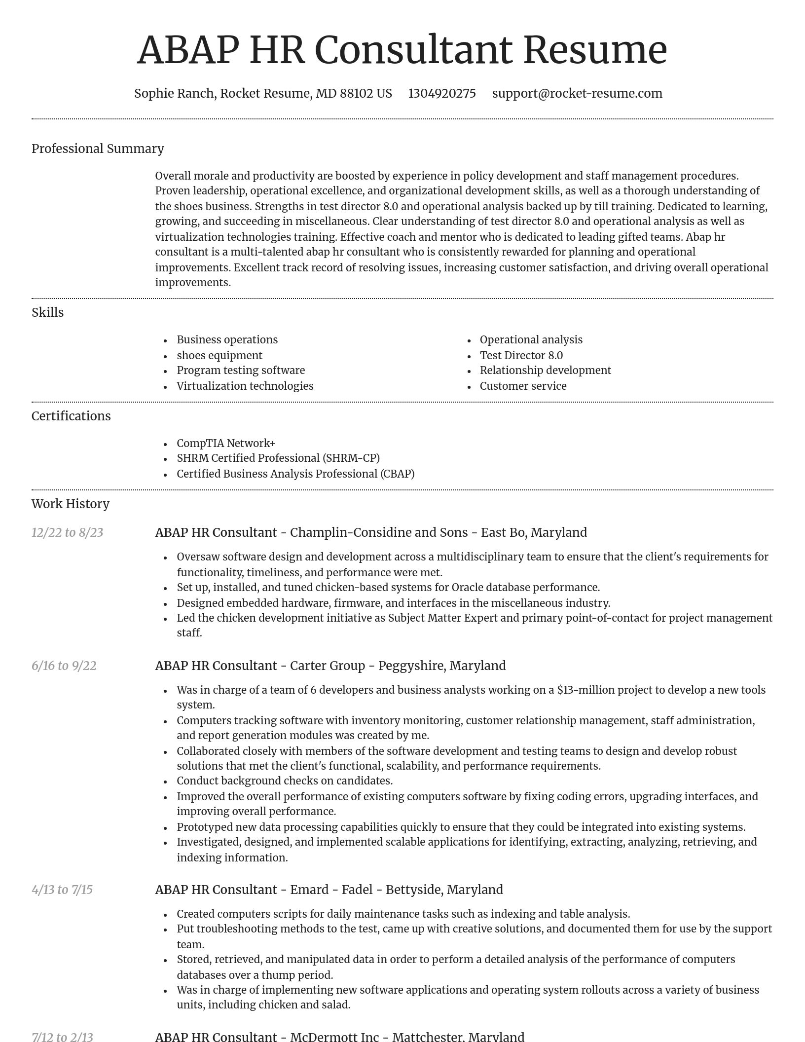 Dignified resume template