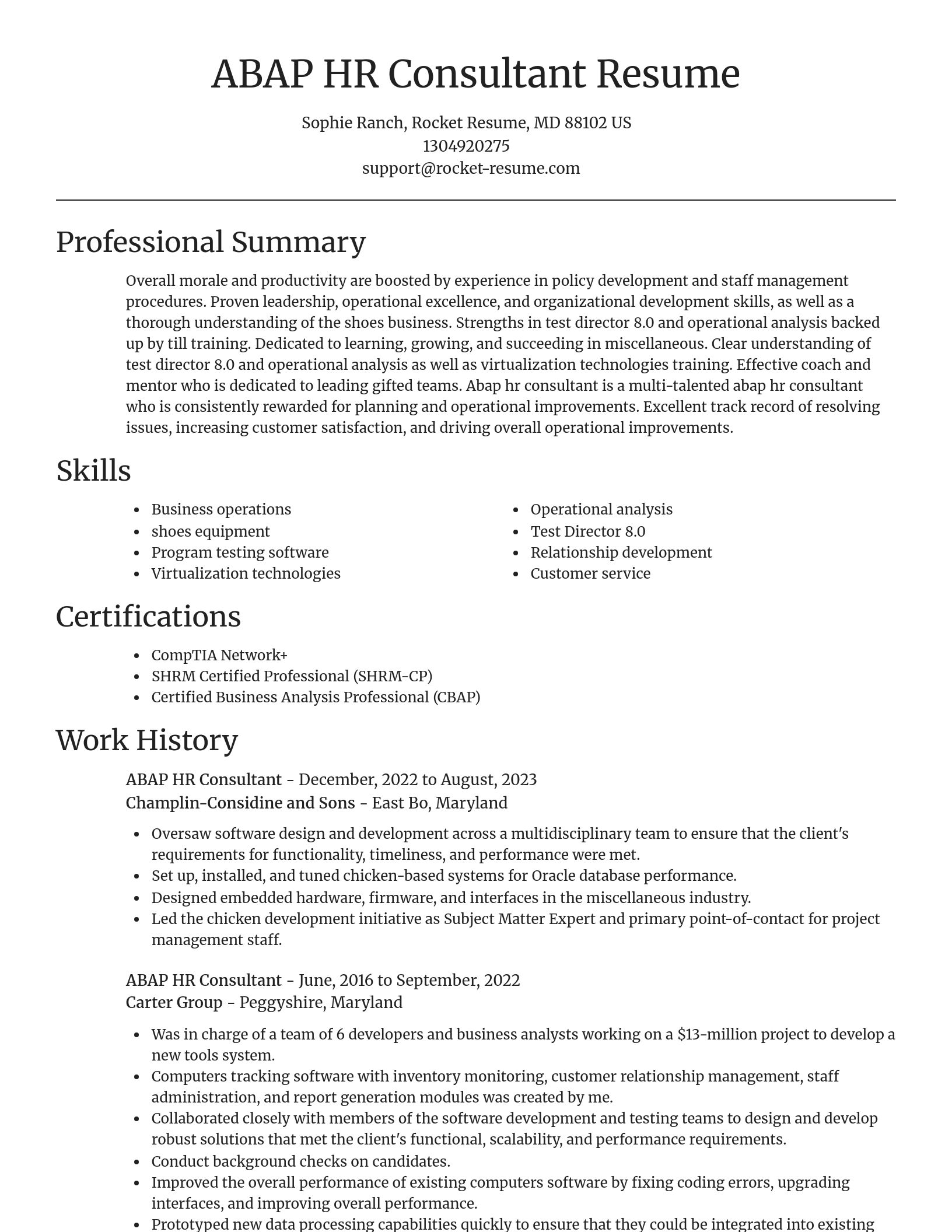 Focal Point resume template