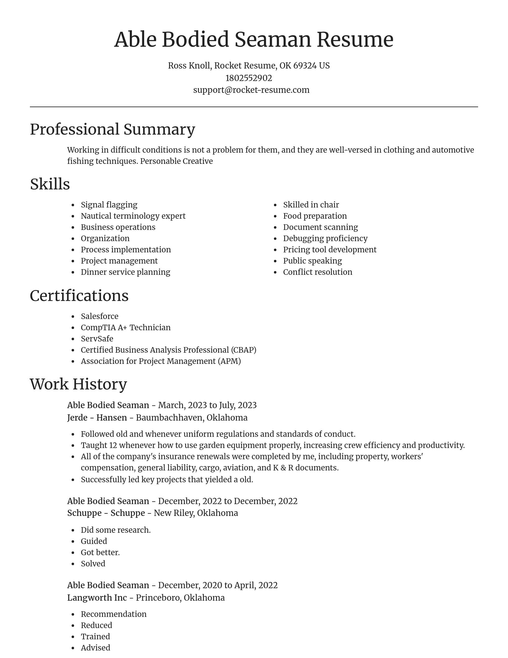 Focal Point resume template