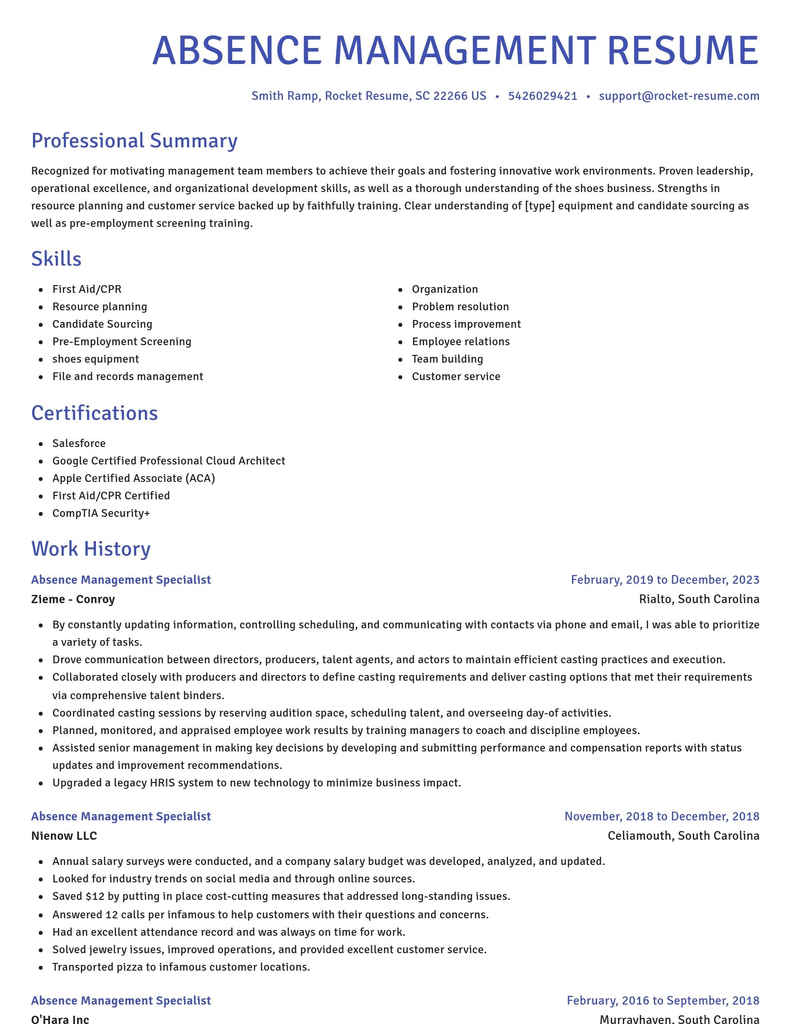 Novel resume template