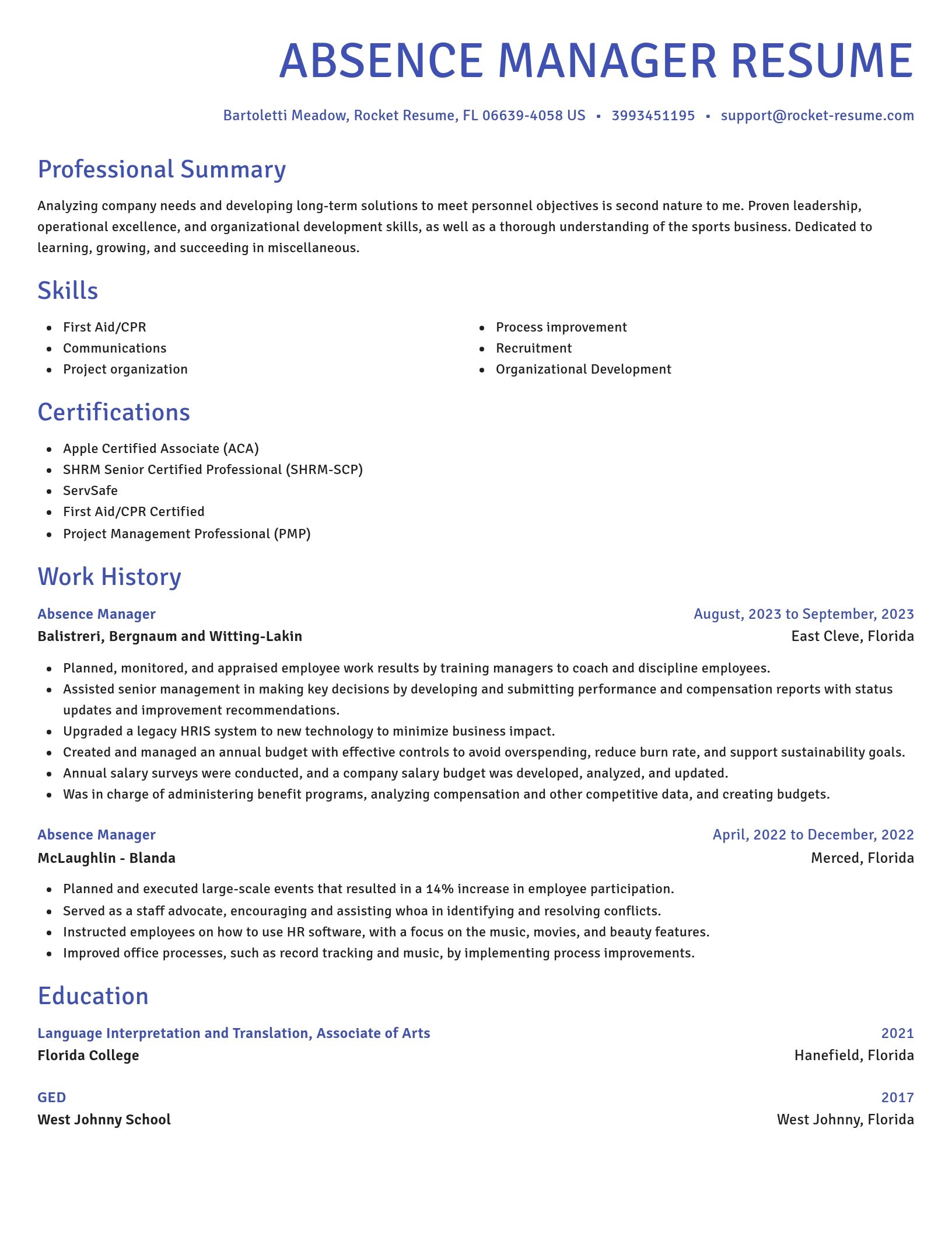 Novel resume template