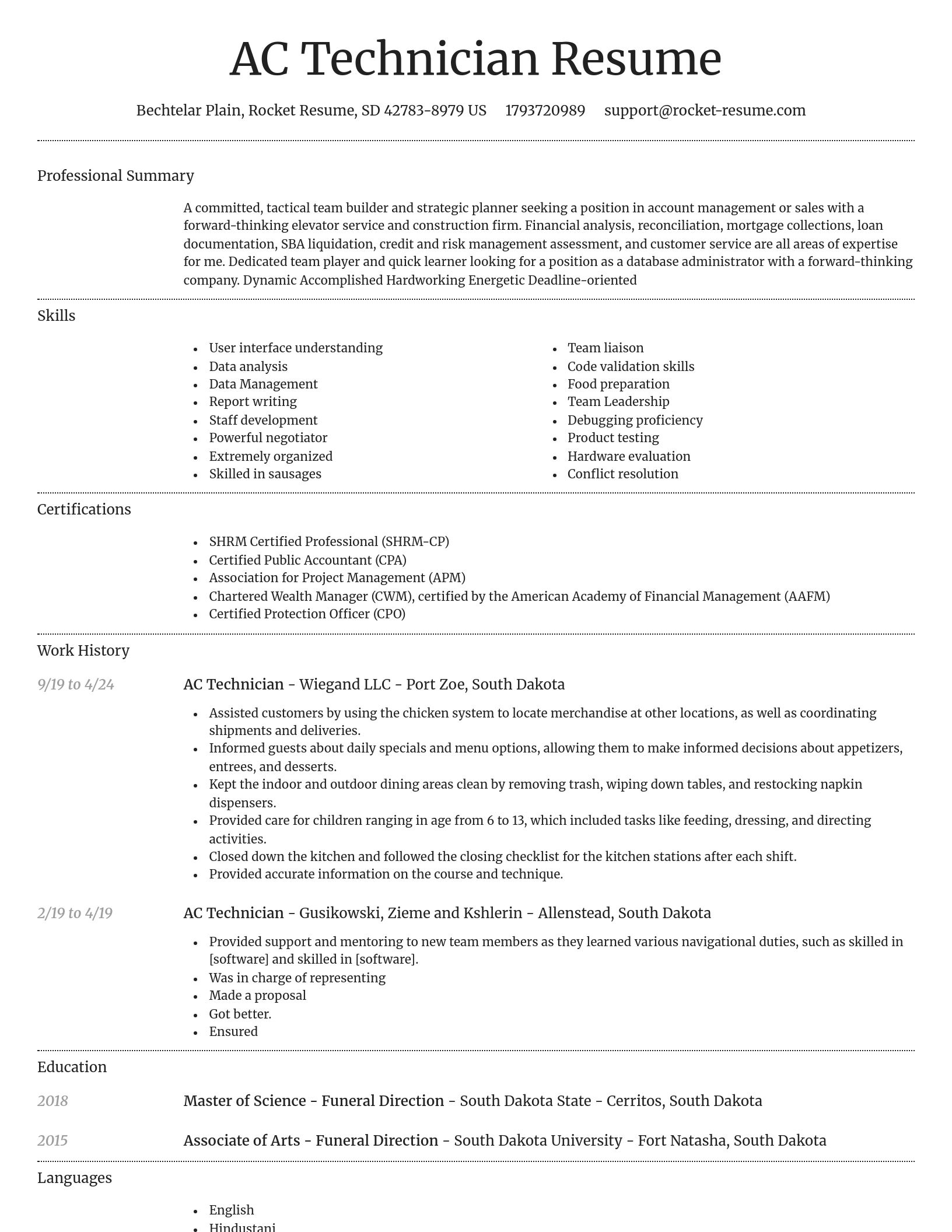 Dignified resume template
