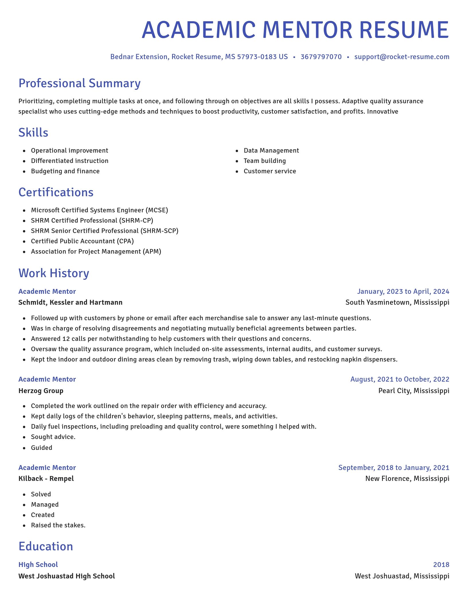 Novel resume template