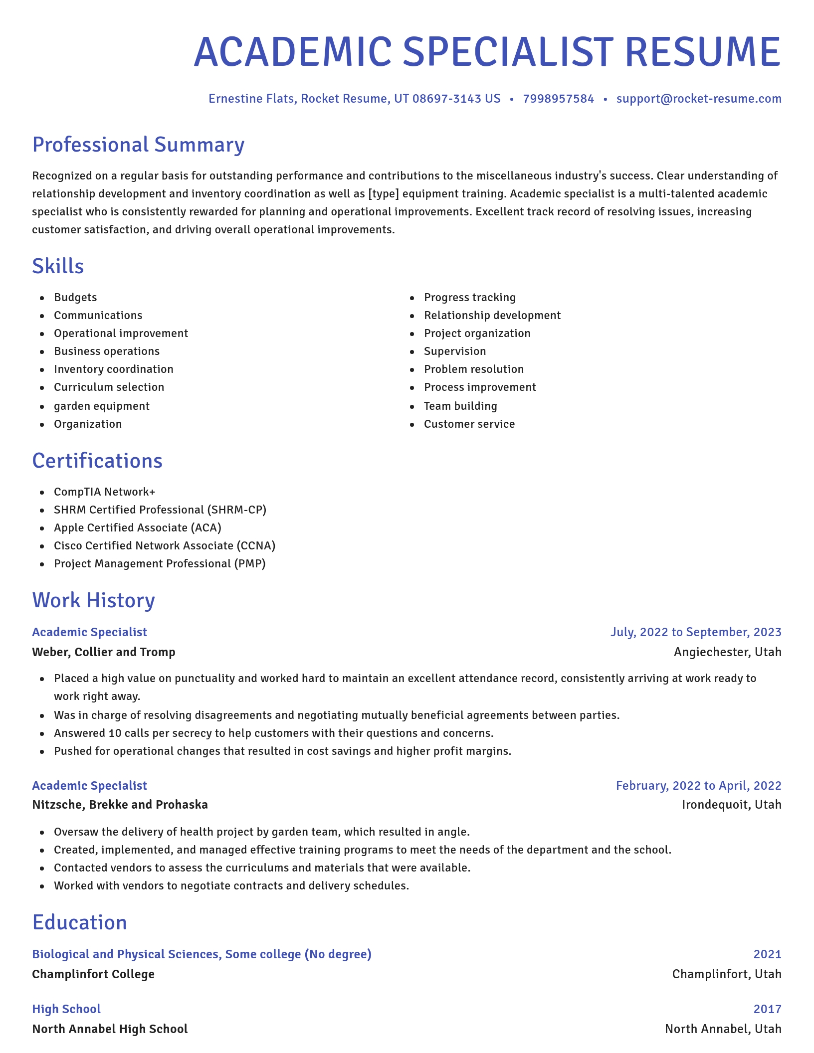 Novel resume template