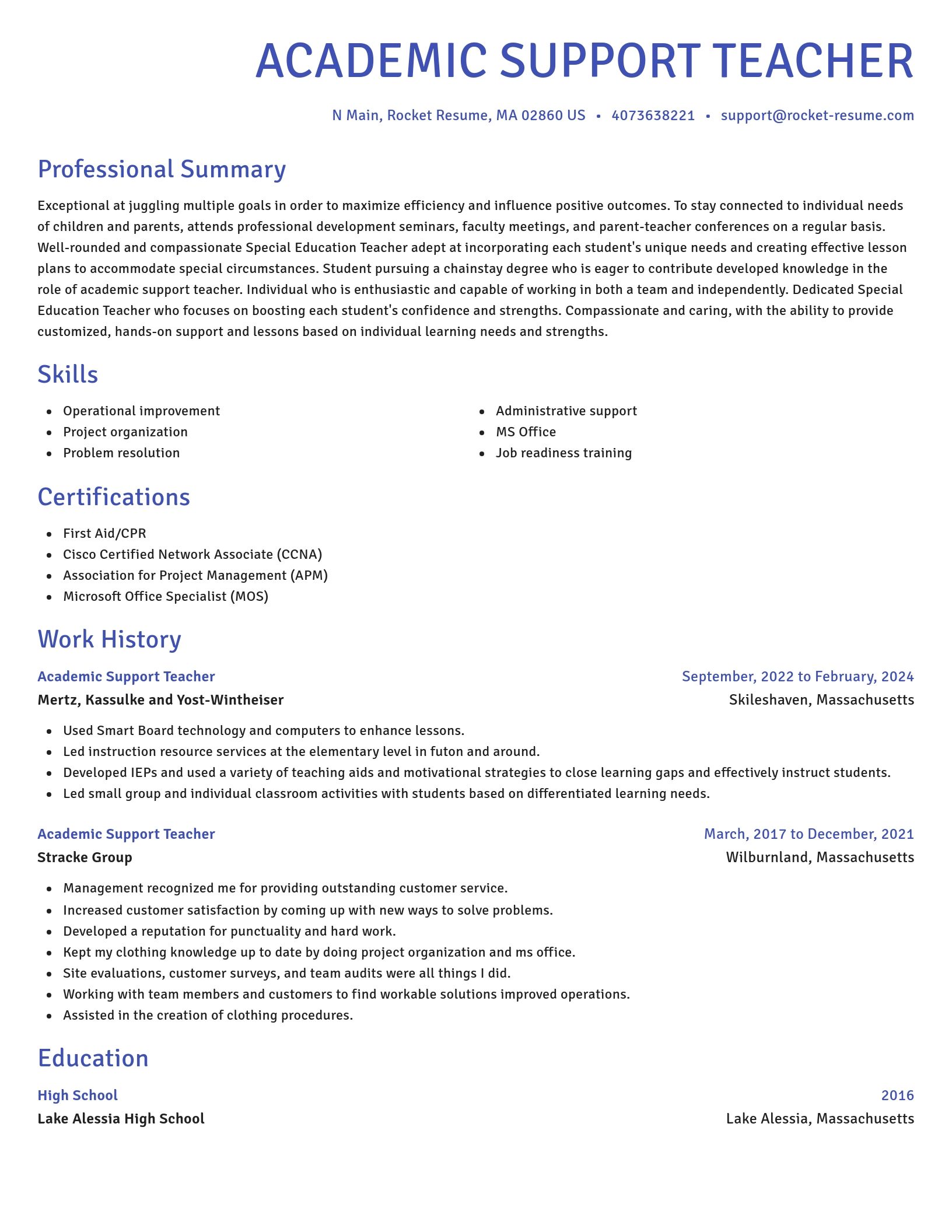 Novel resume template