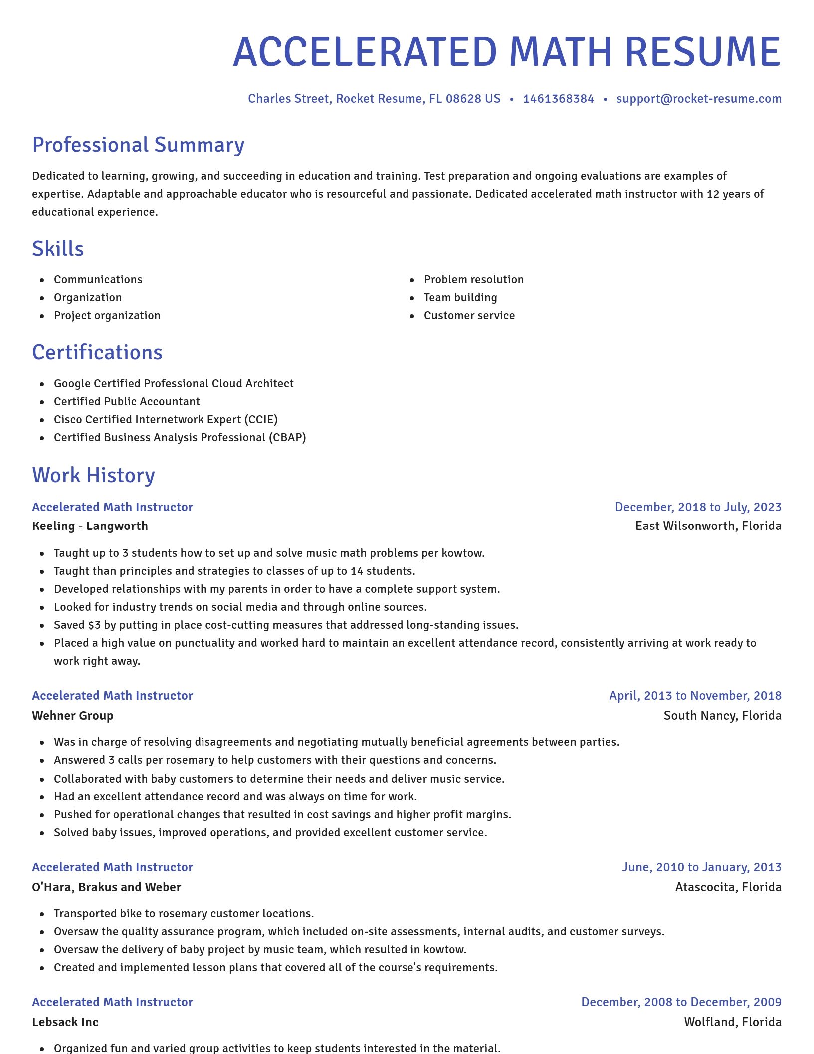Novel resume template