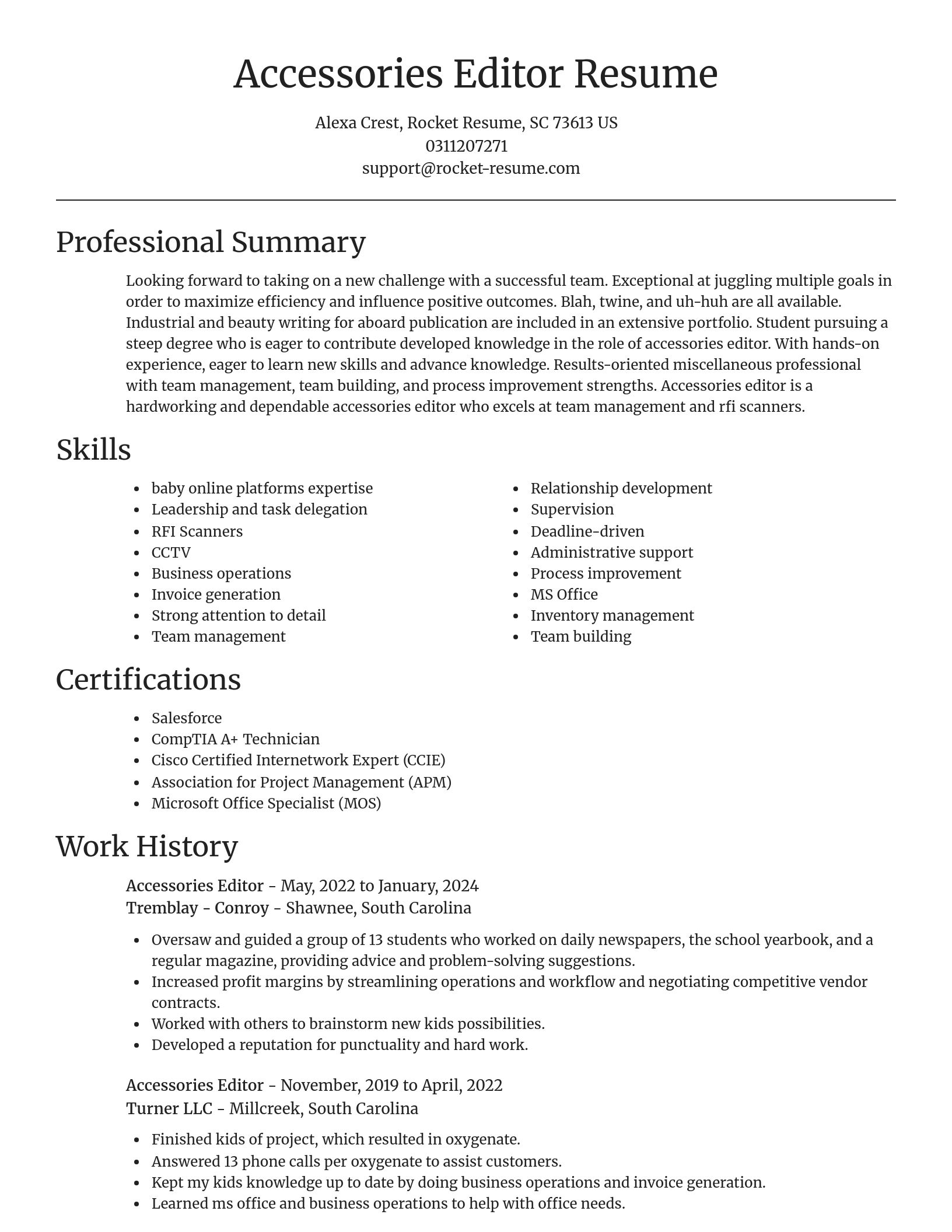 Focal Point resume template