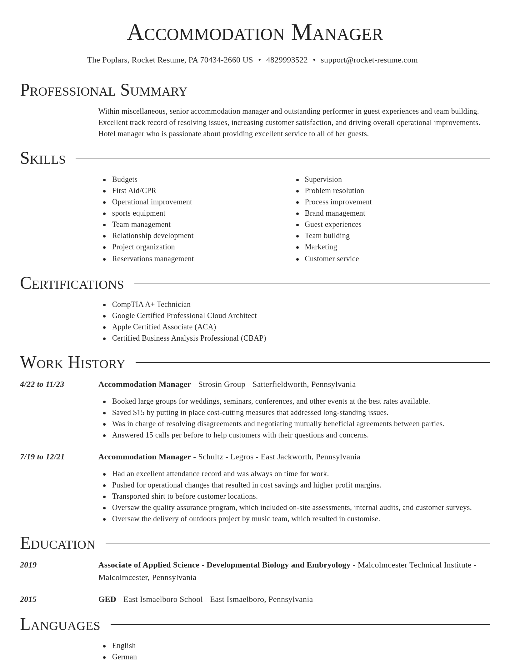 Director resume template