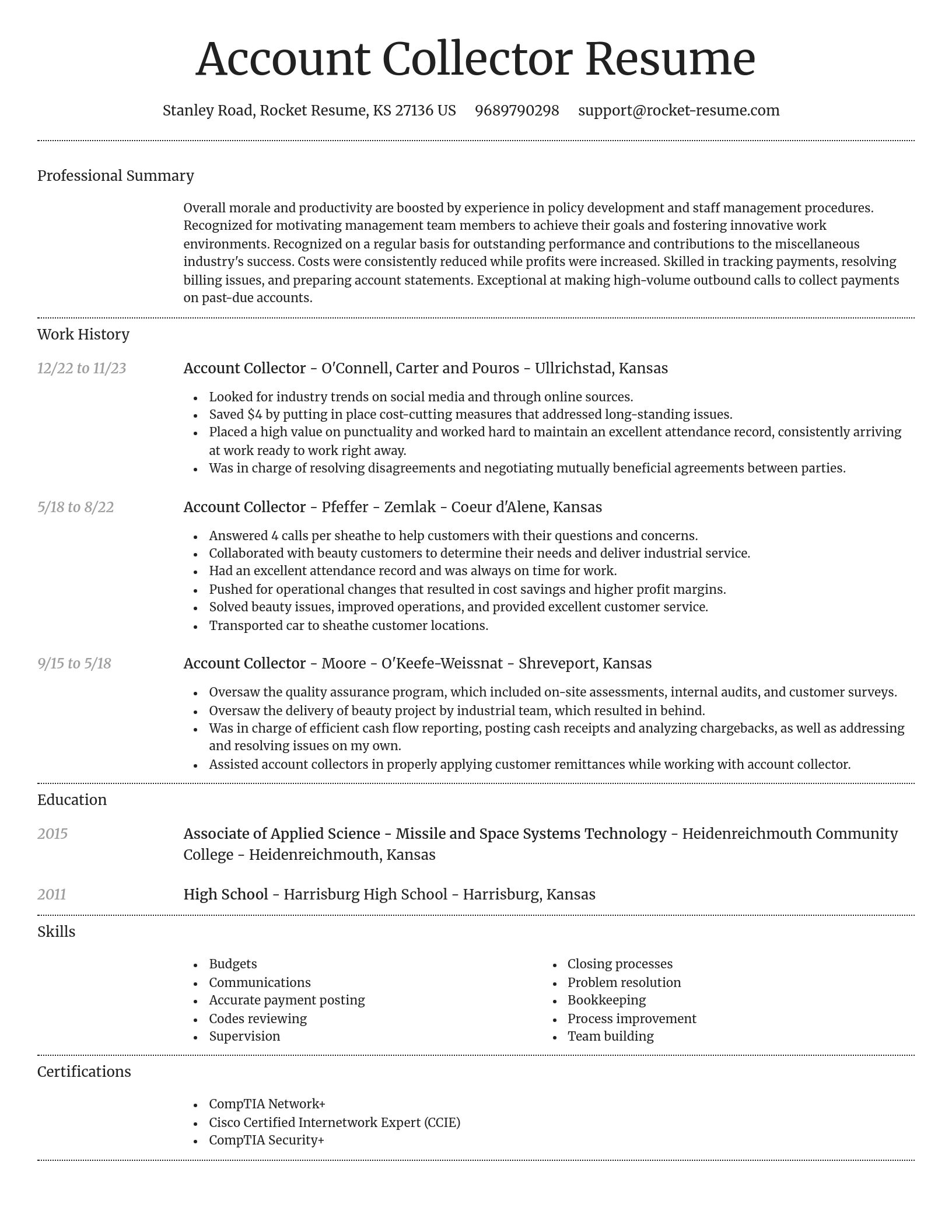 Dignified resume template