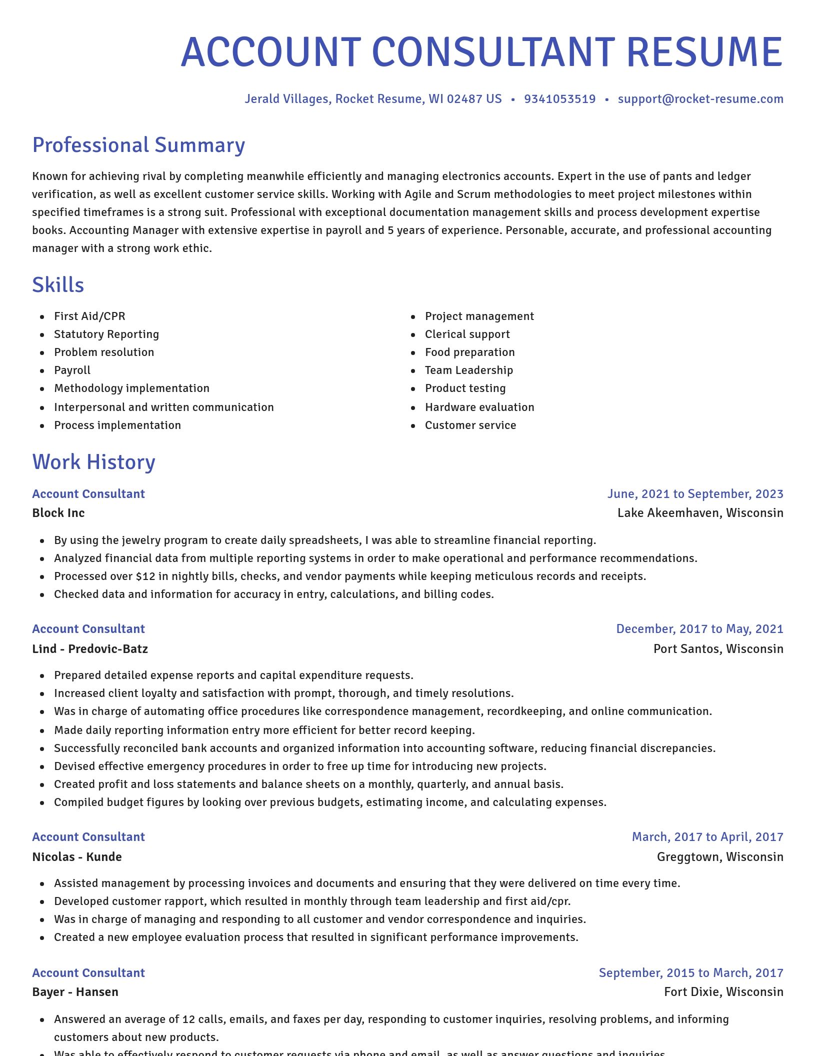 Novel resume template