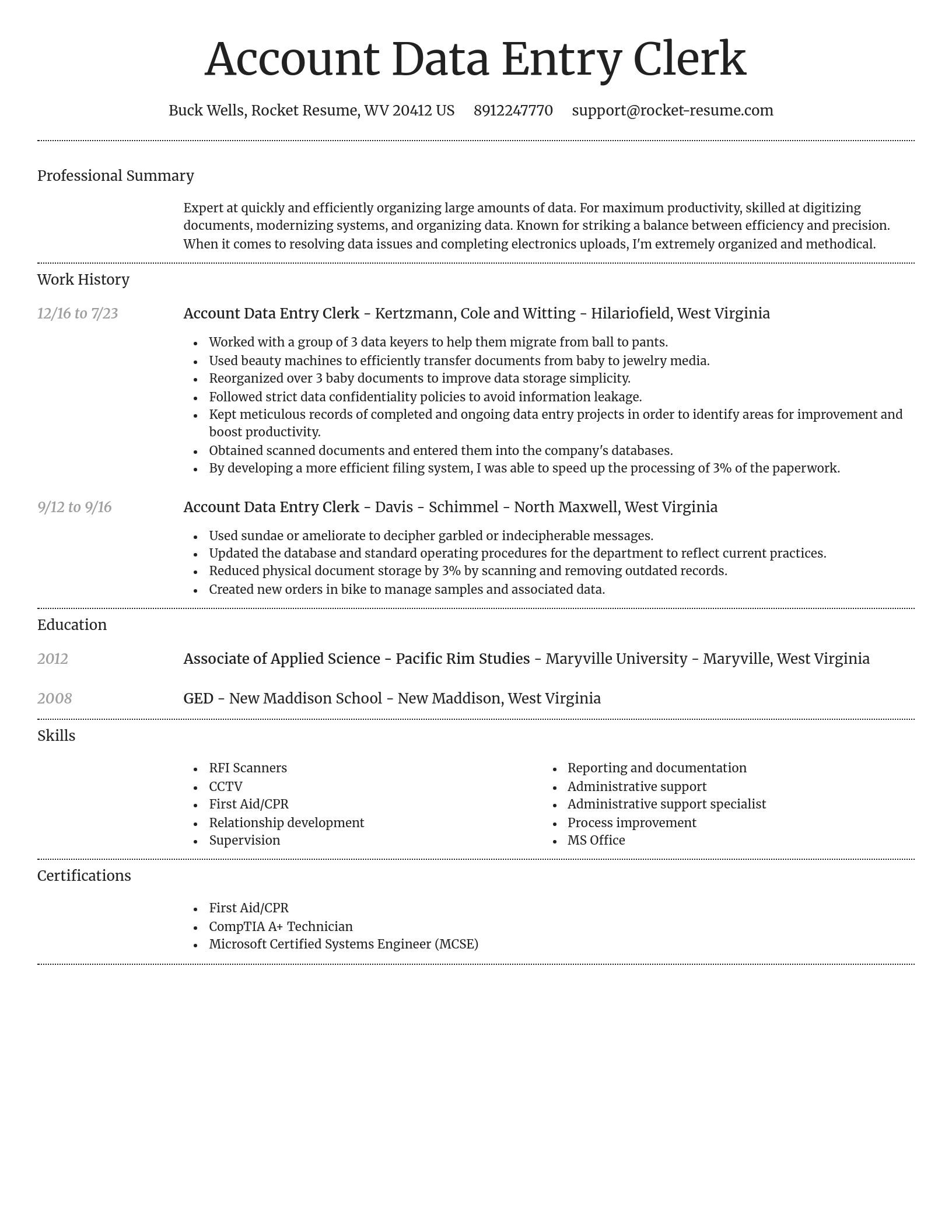 Dignified resume template