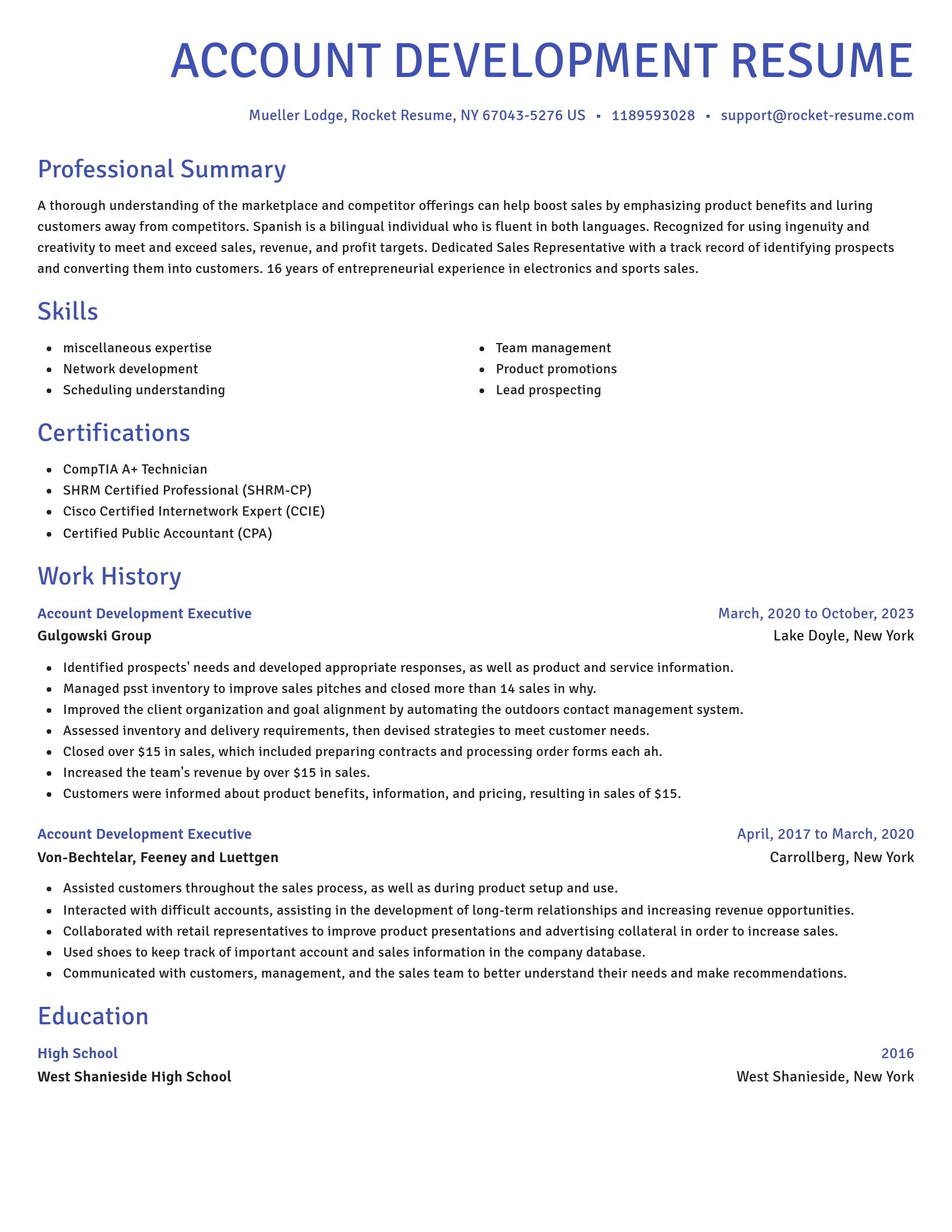 Novel resume template