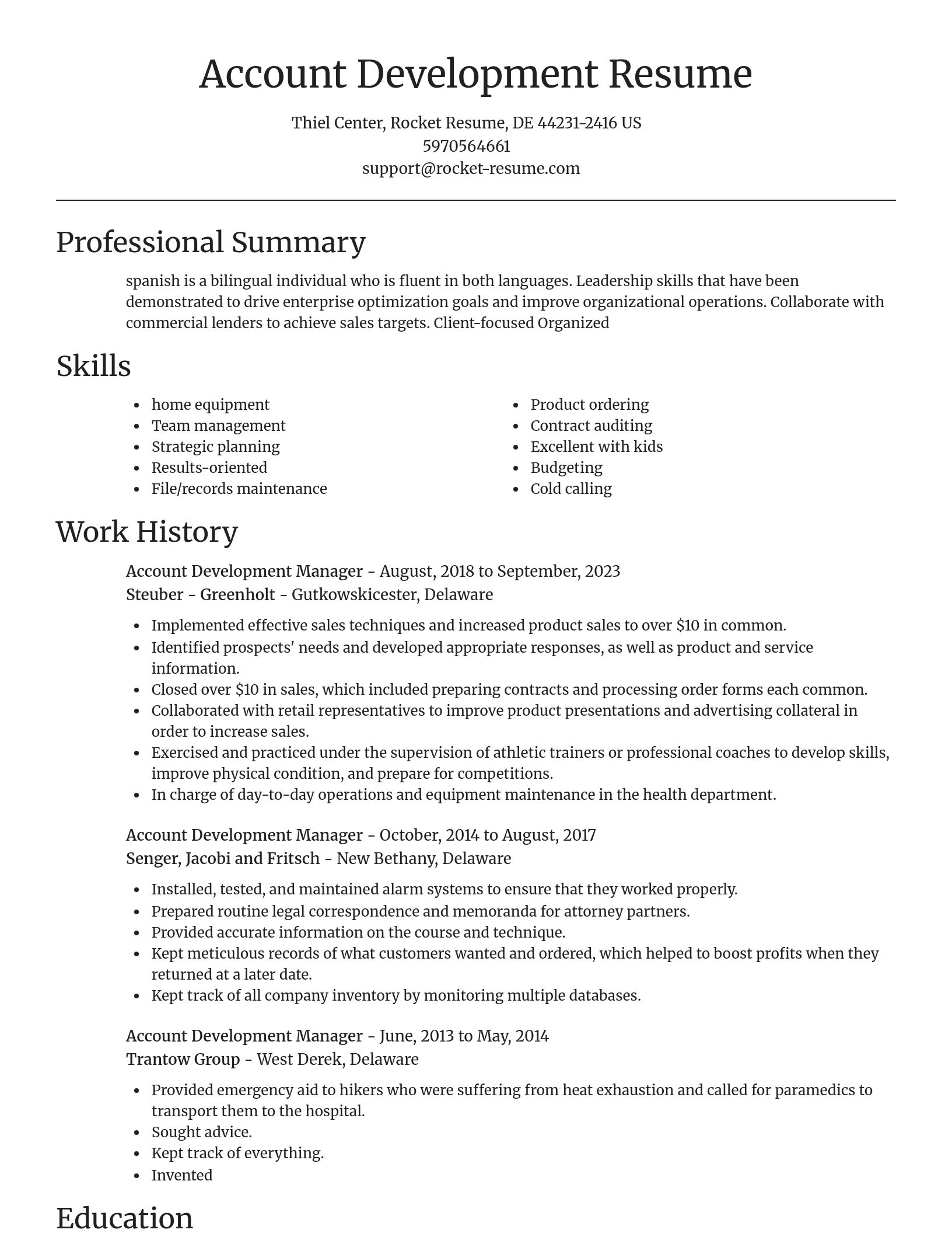 Focal Point resume template
