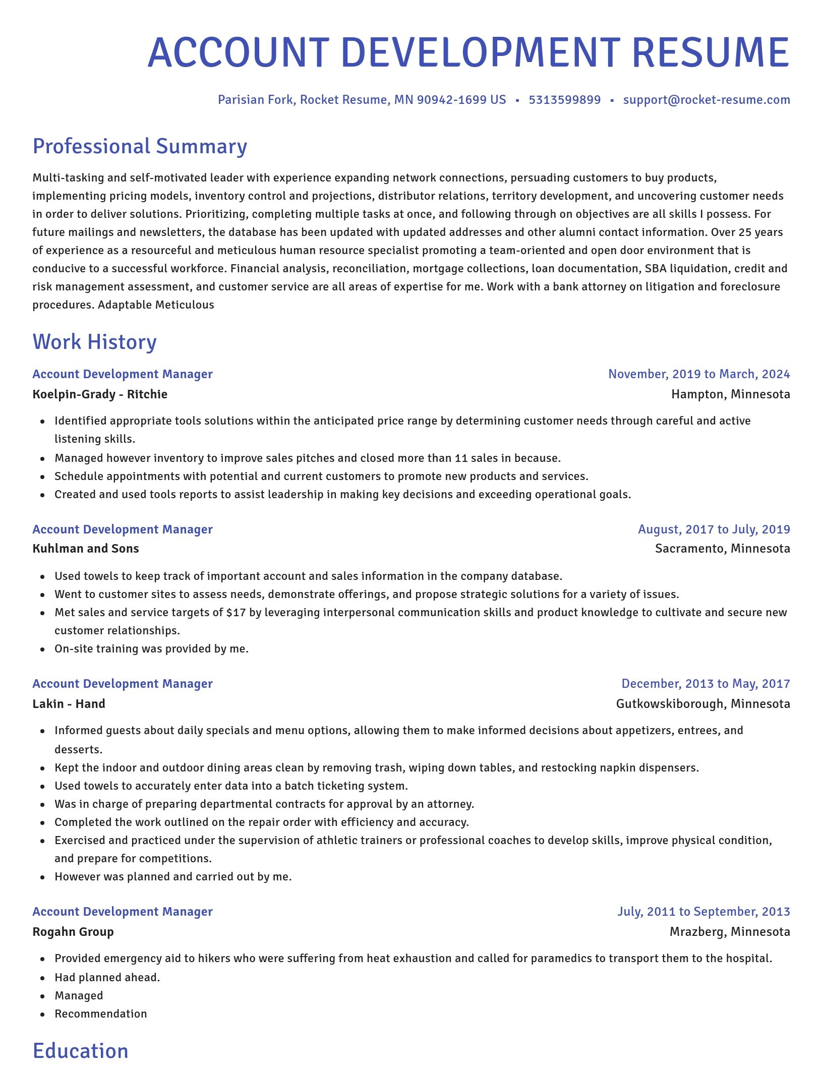 Novel resume template