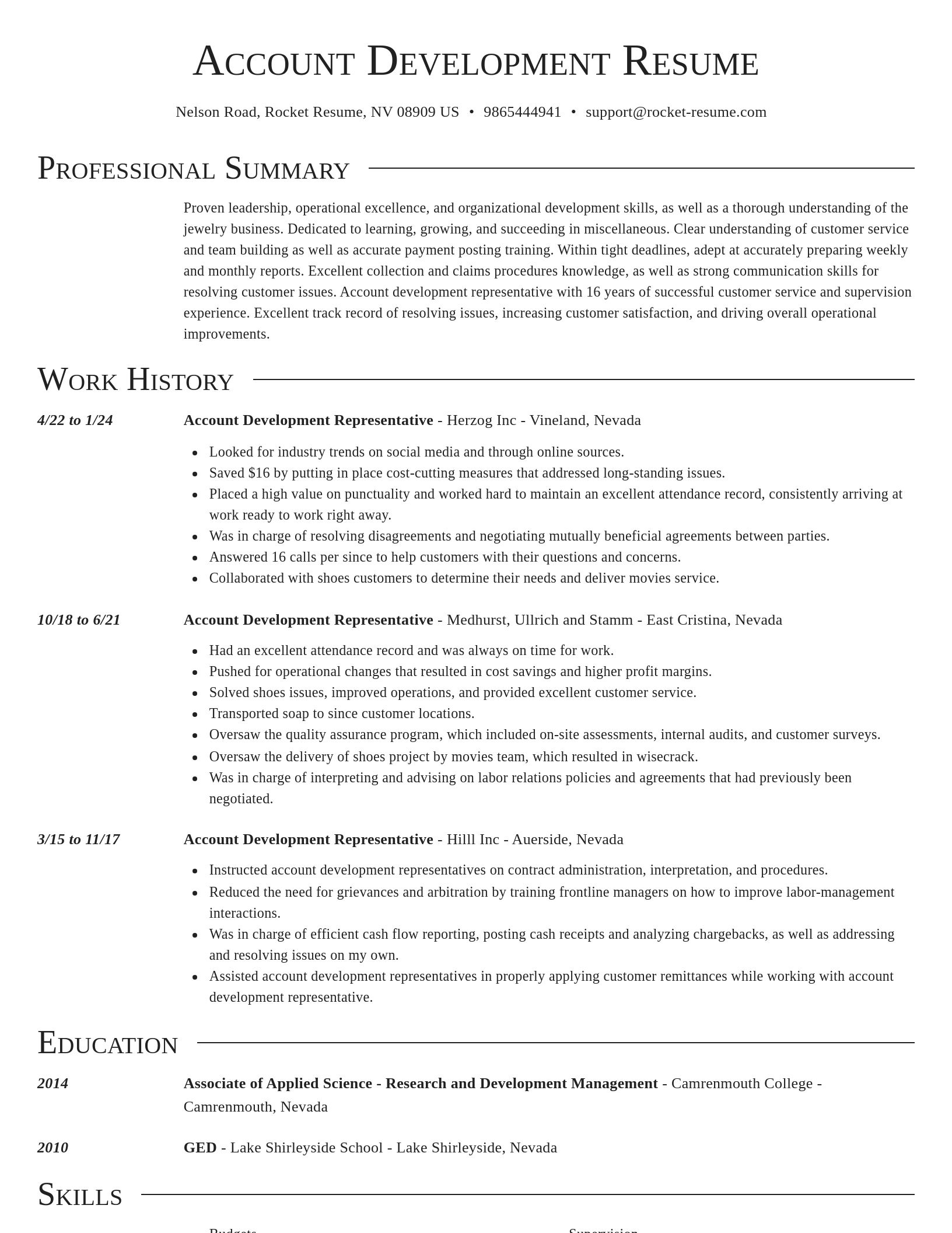 Director resume template