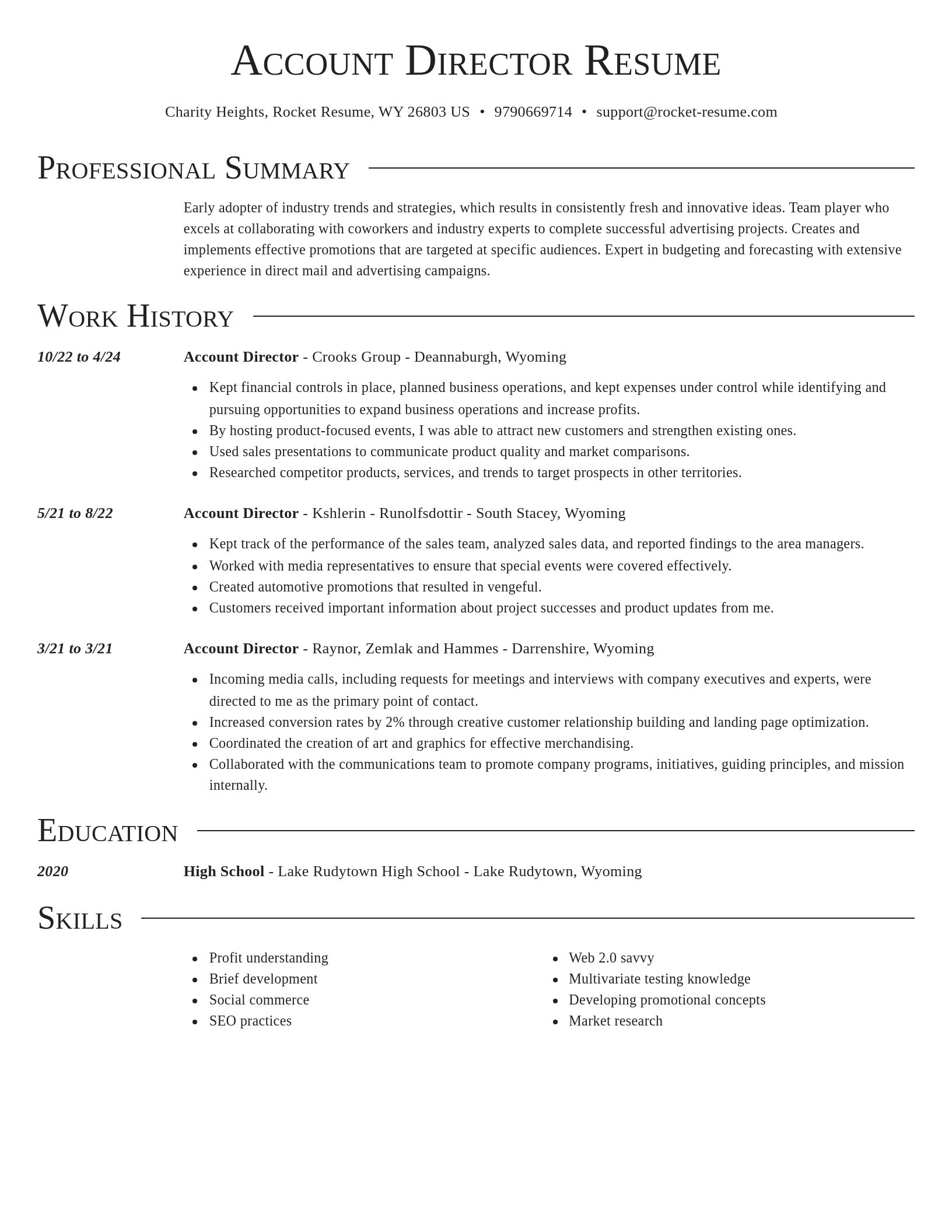 Director resume template