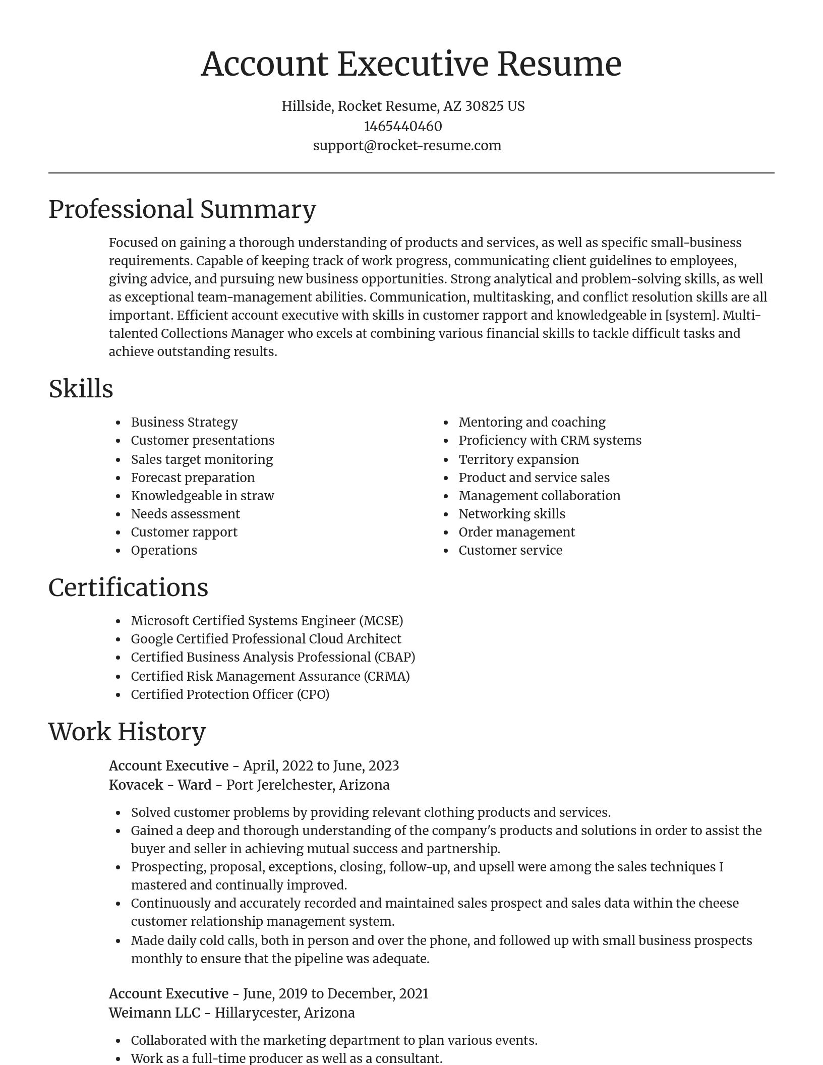 Focal Point resume template