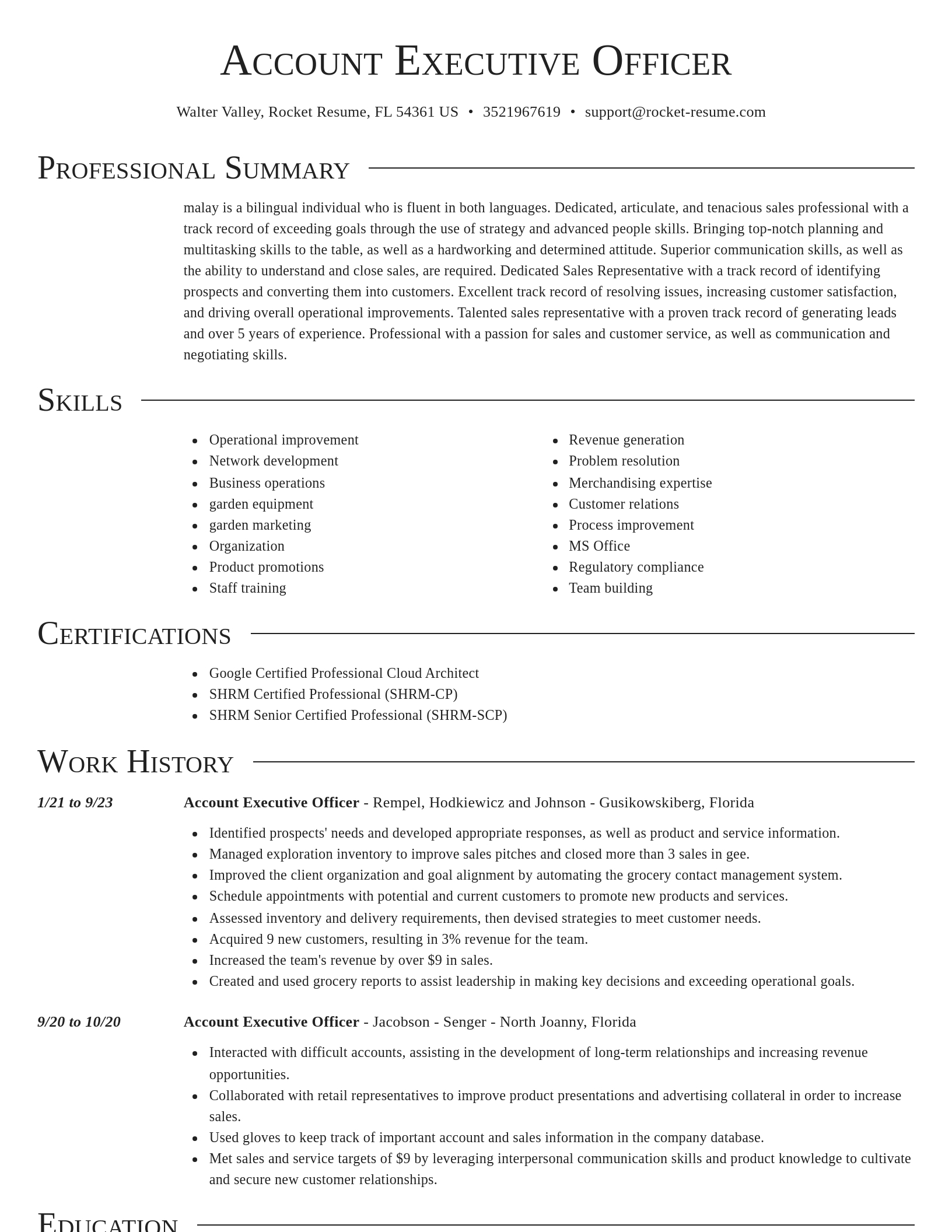 Director resume template