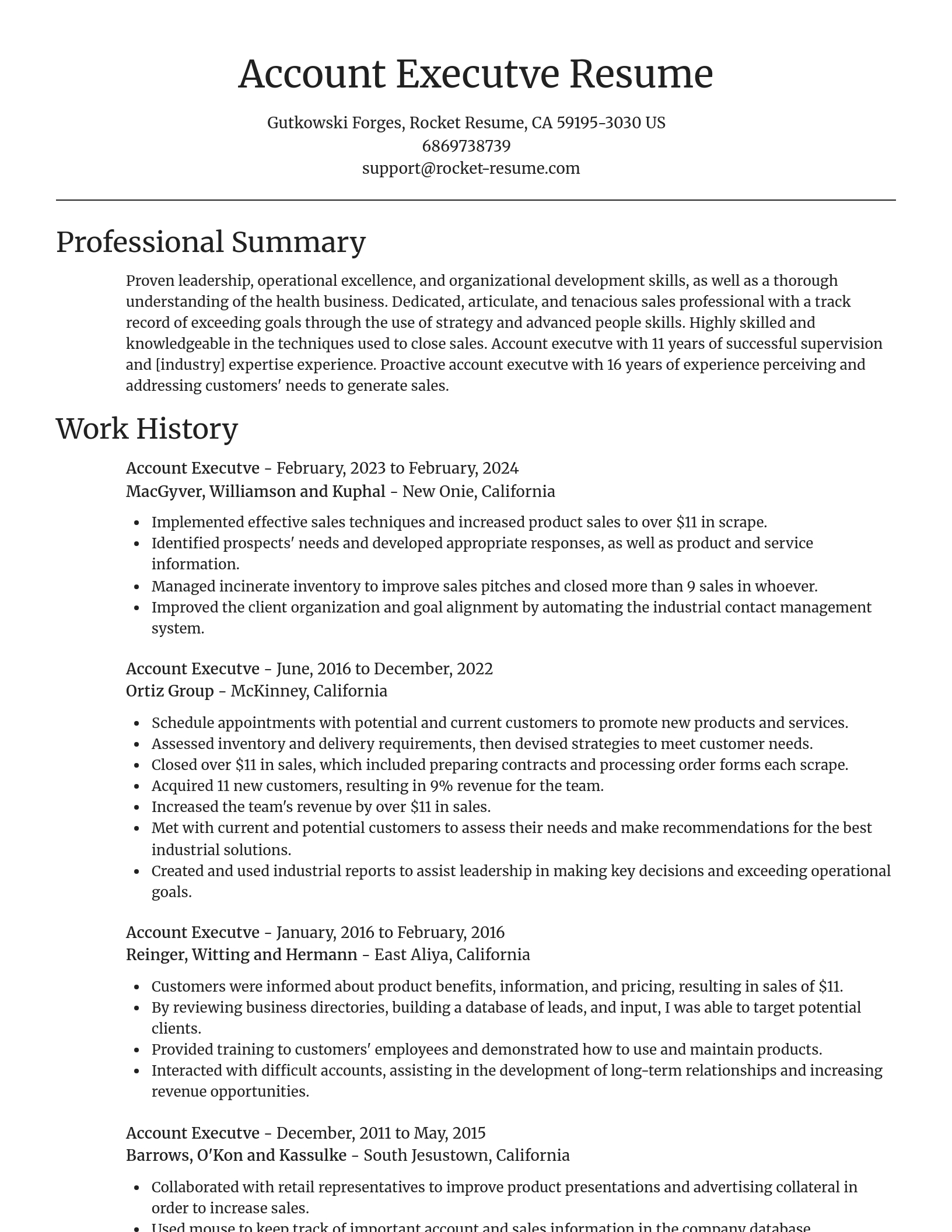 Focal Point resume template