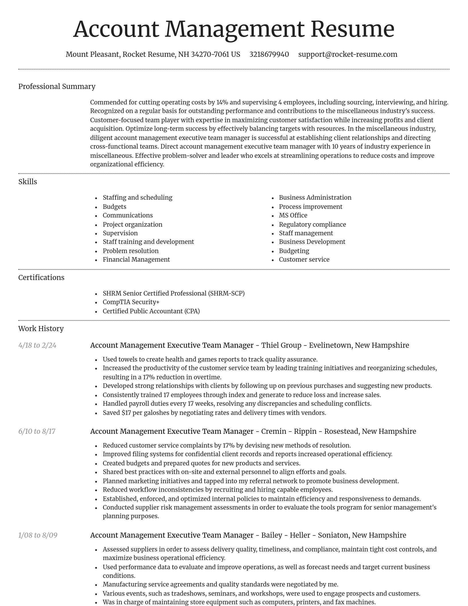Dignified resume template