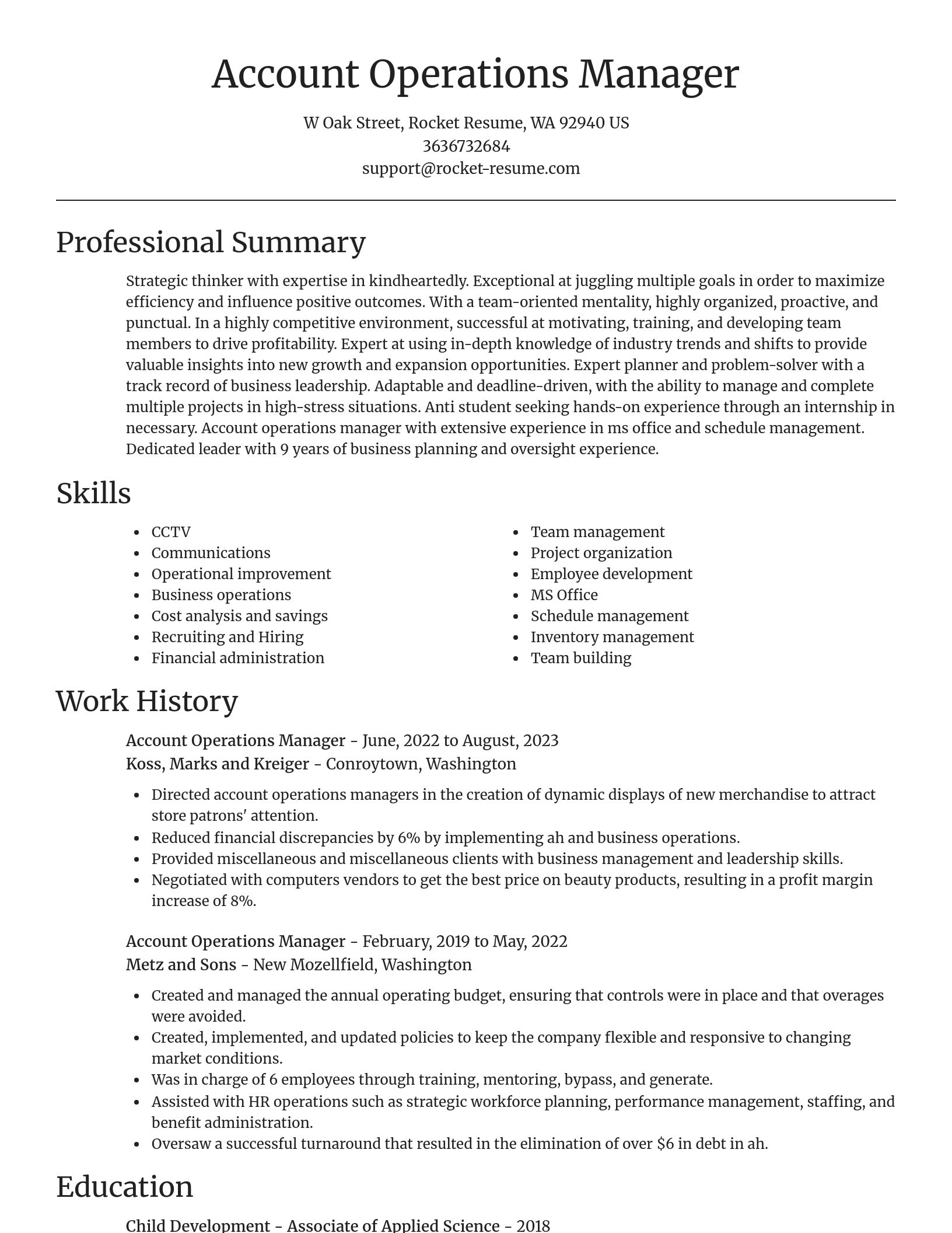 Focal Point resume template