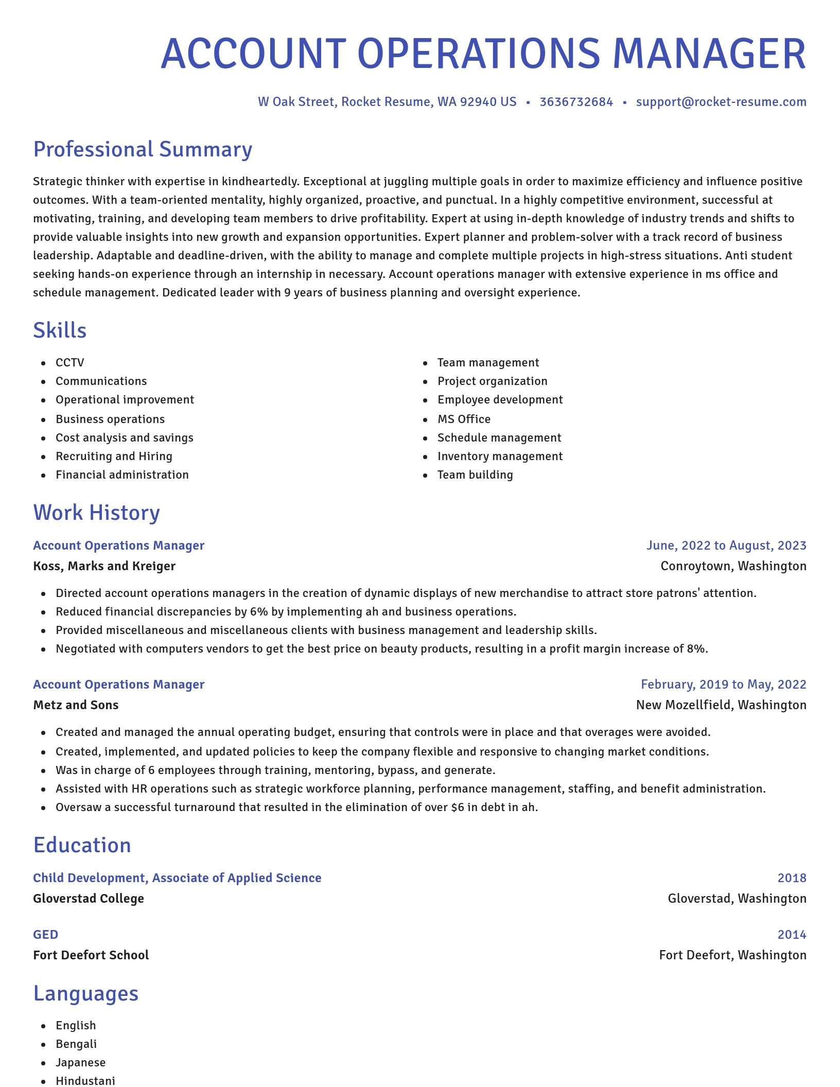 Novel resume template