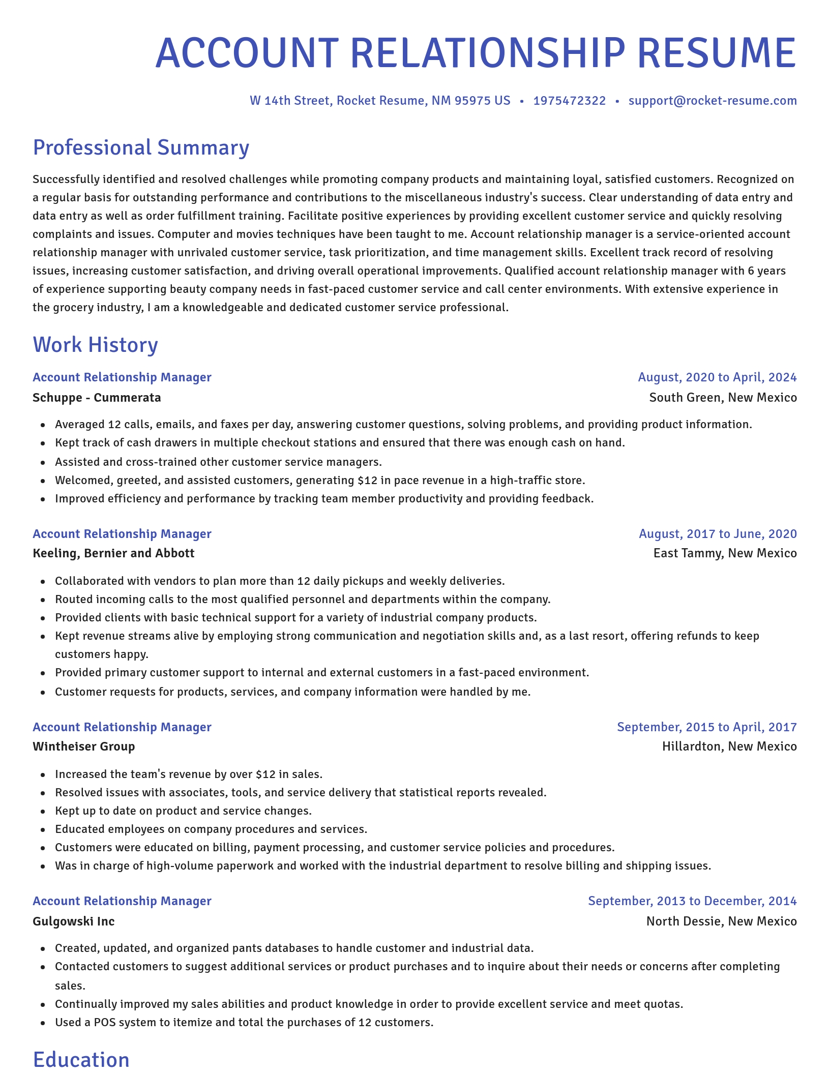 Novel resume template