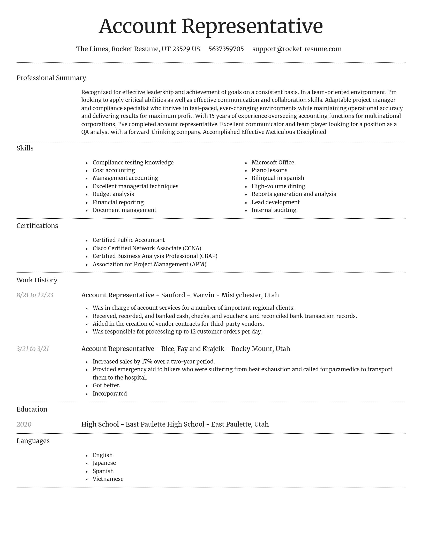 Dignified resume template