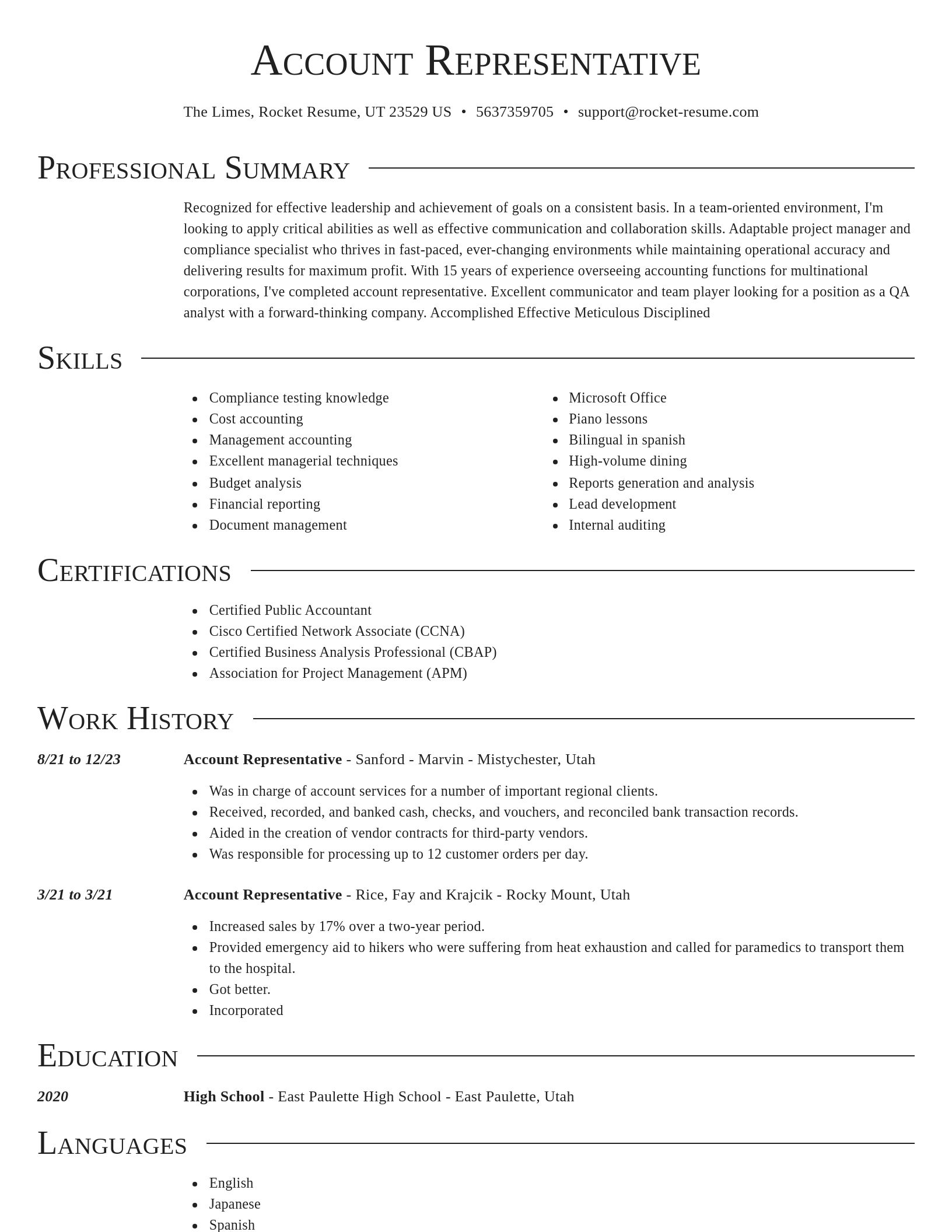 Director resume template