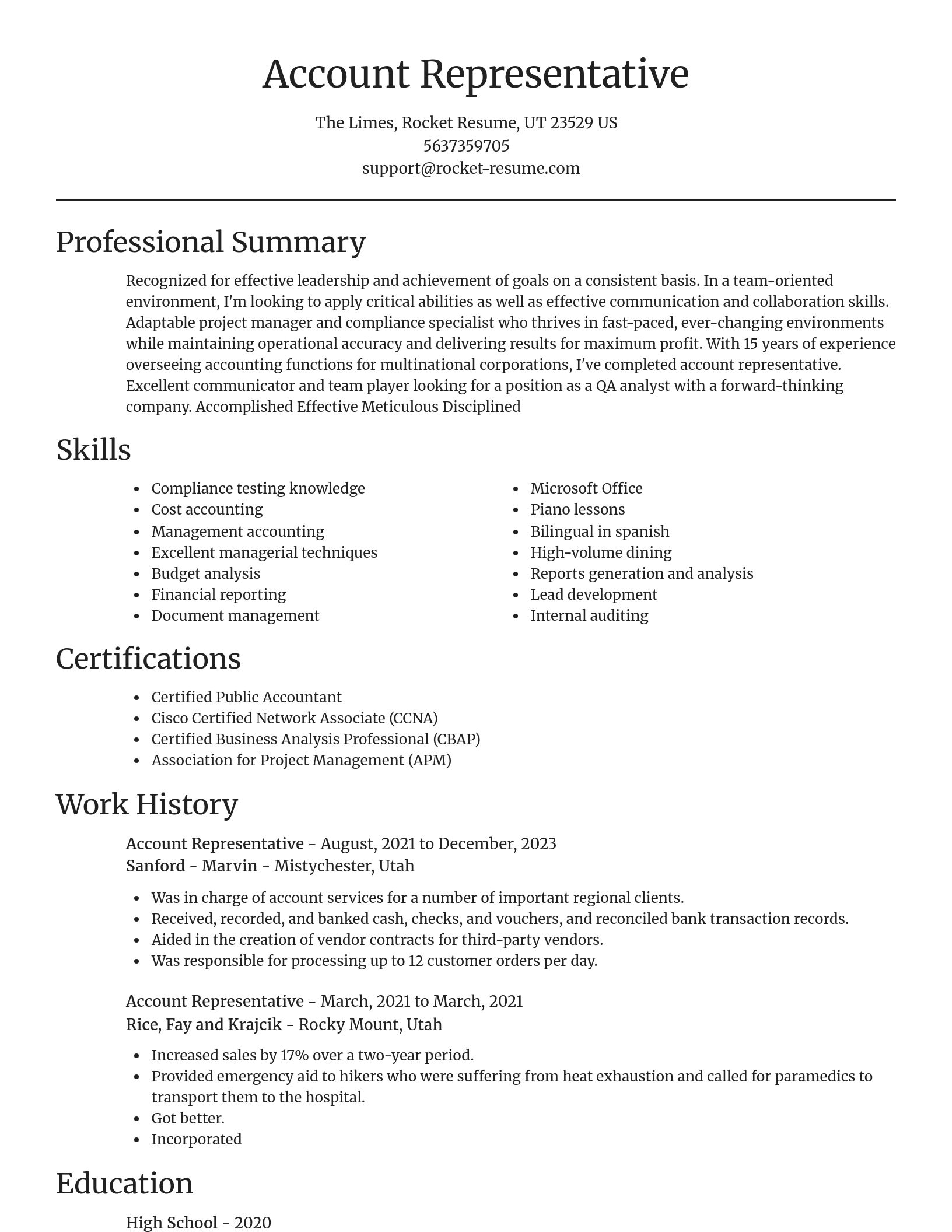 Focal Point resume template