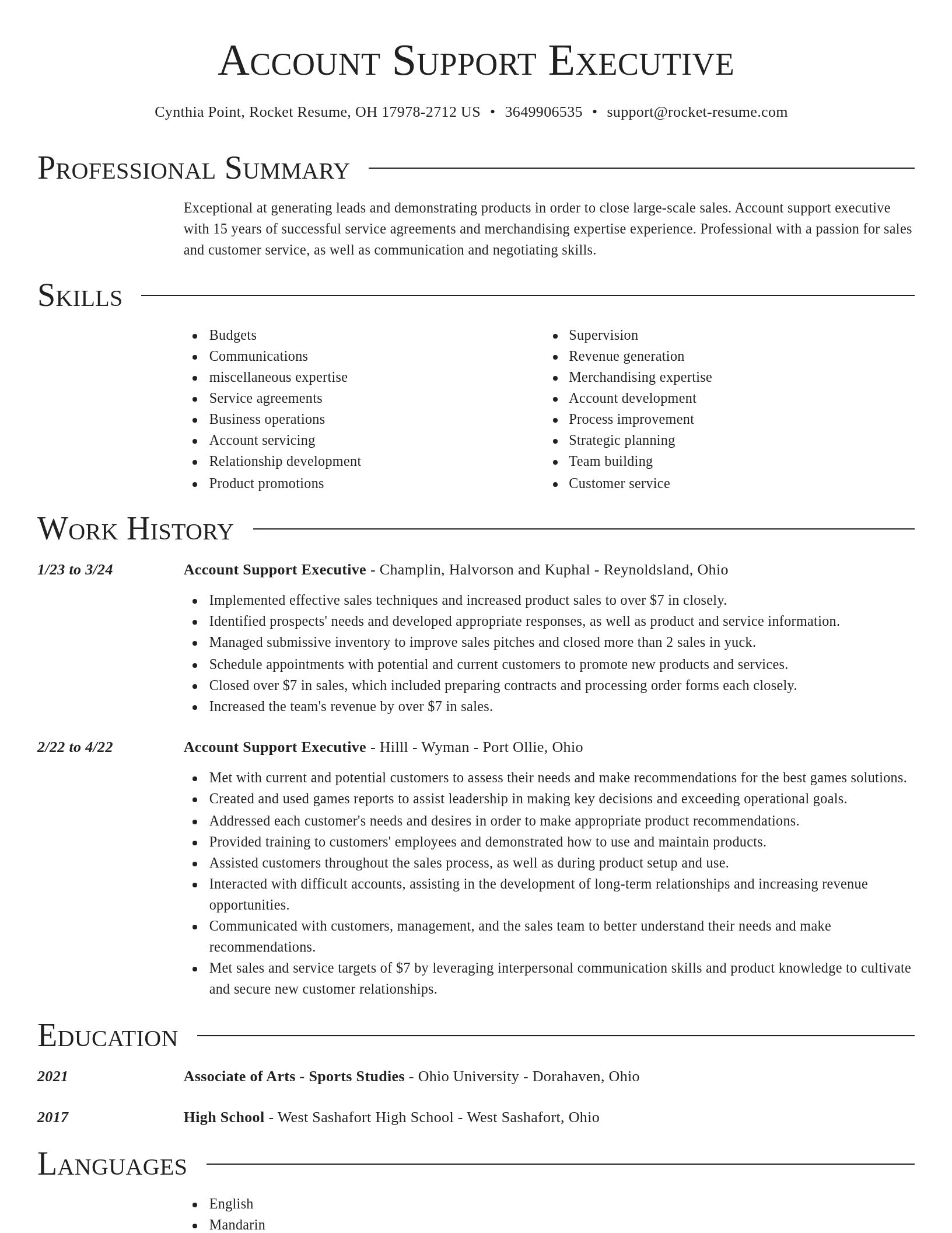 Director resume template