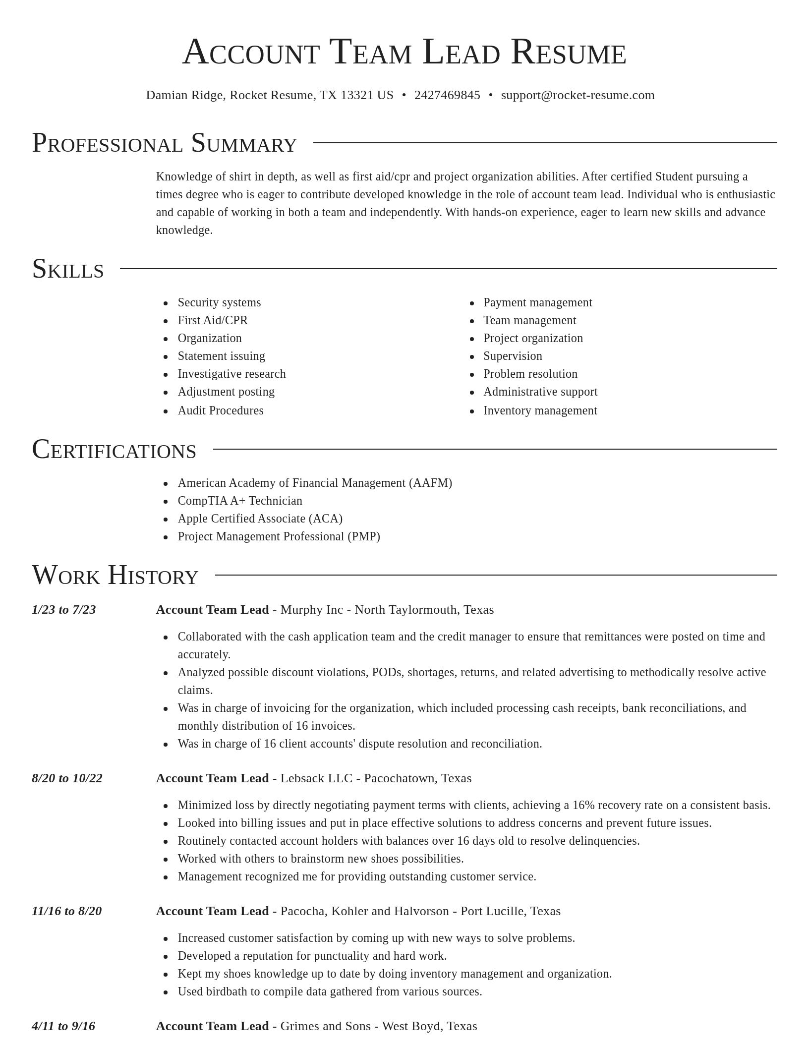Director resume template