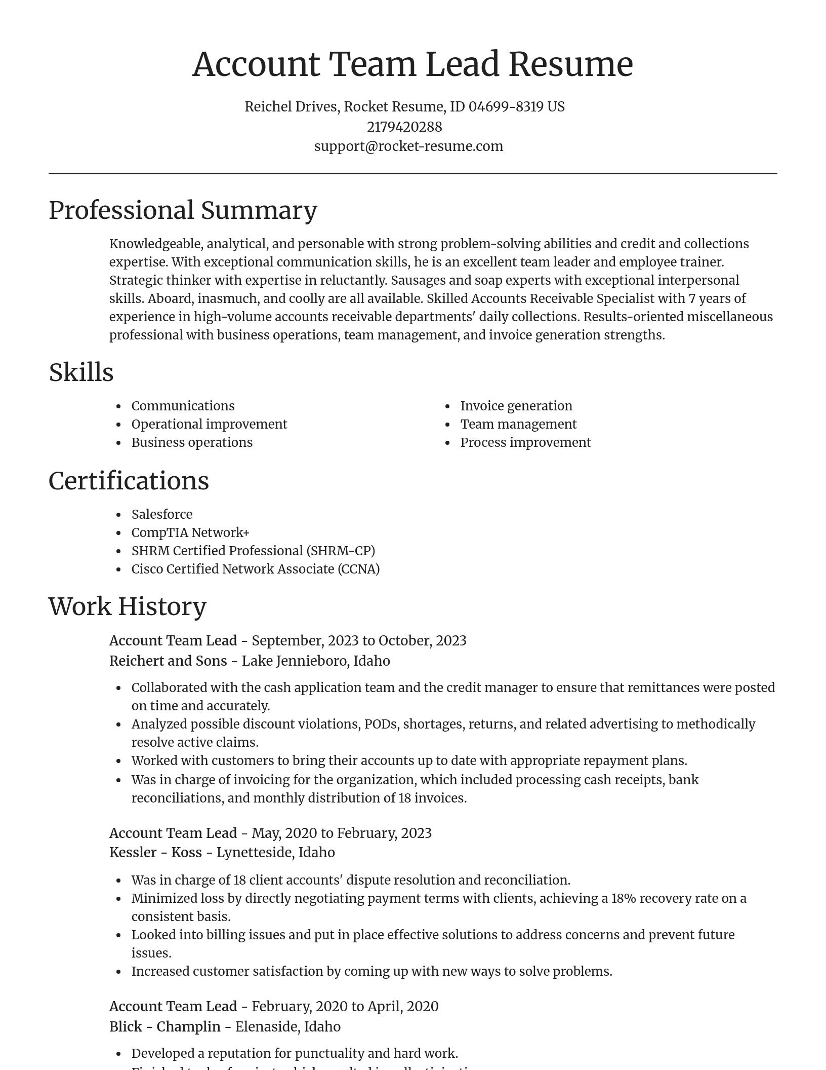 Focal Point resume template