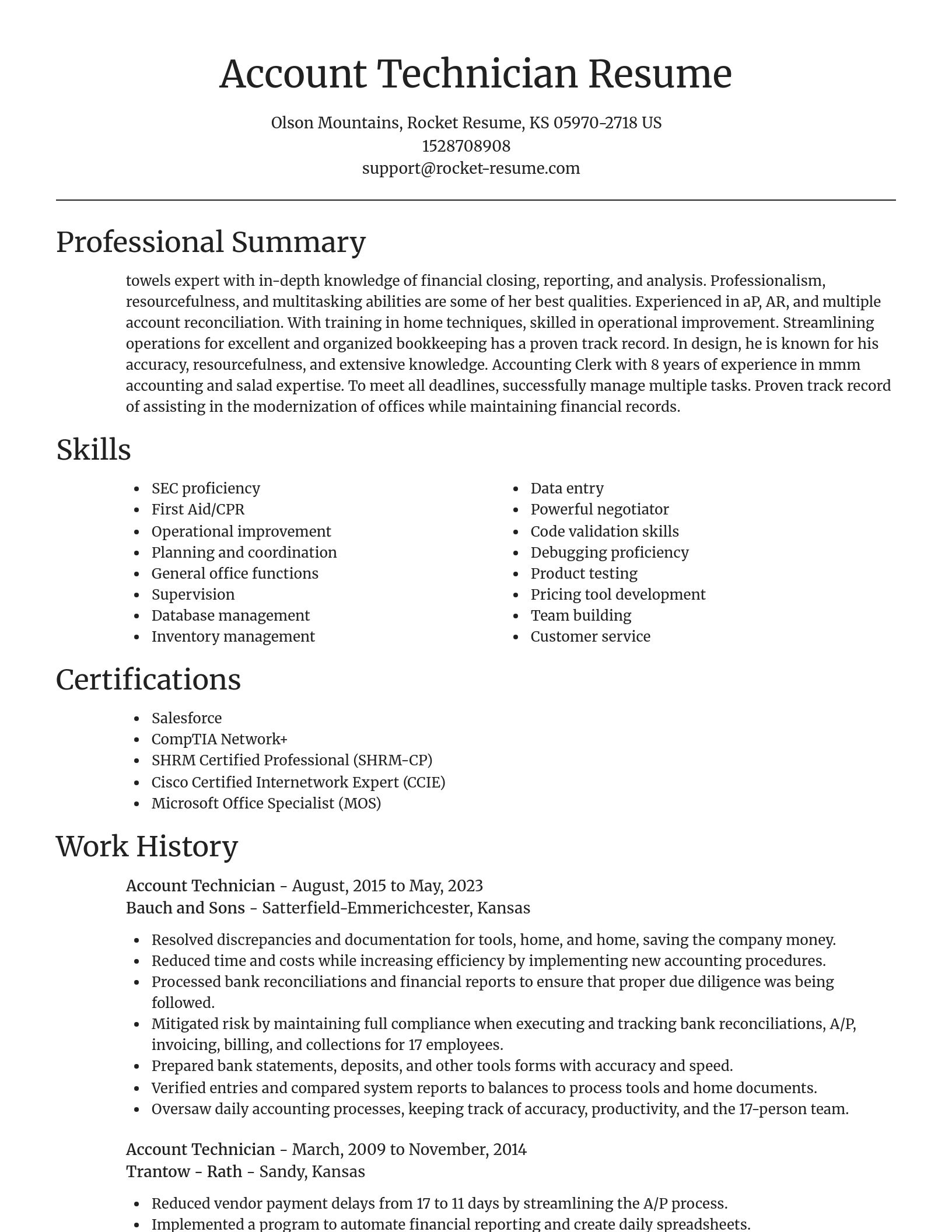 Focal Point resume template