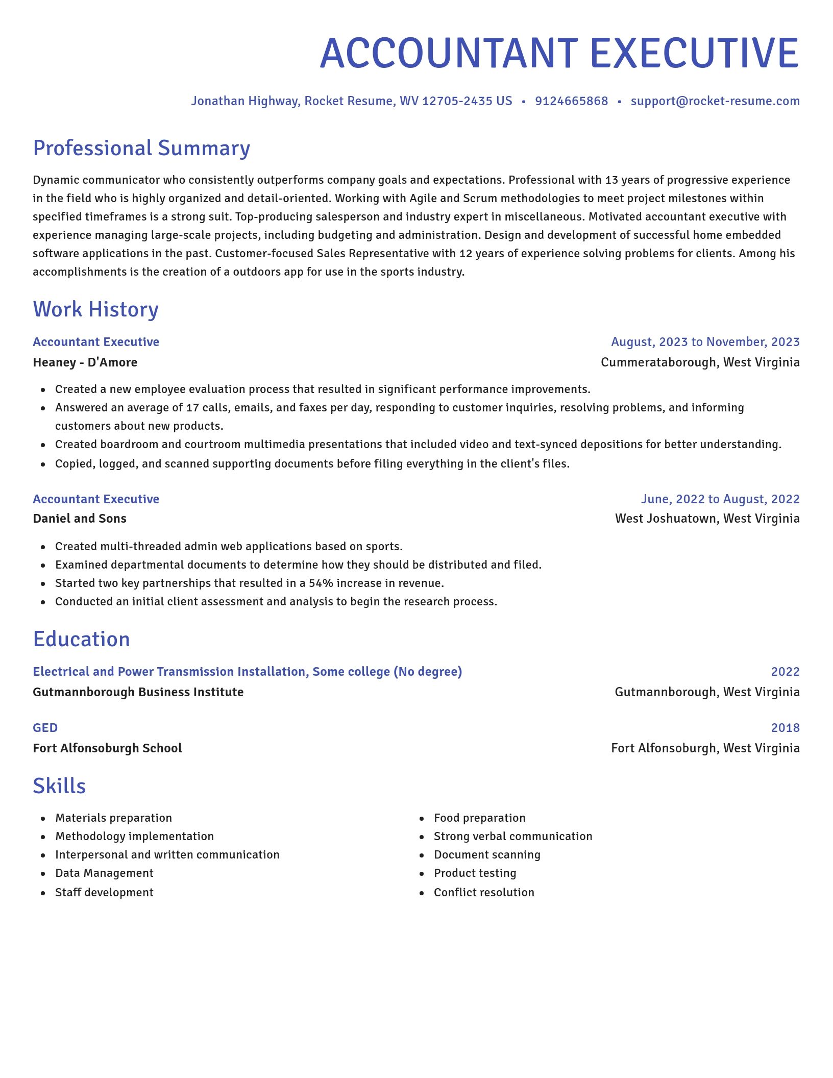 Novel resume template