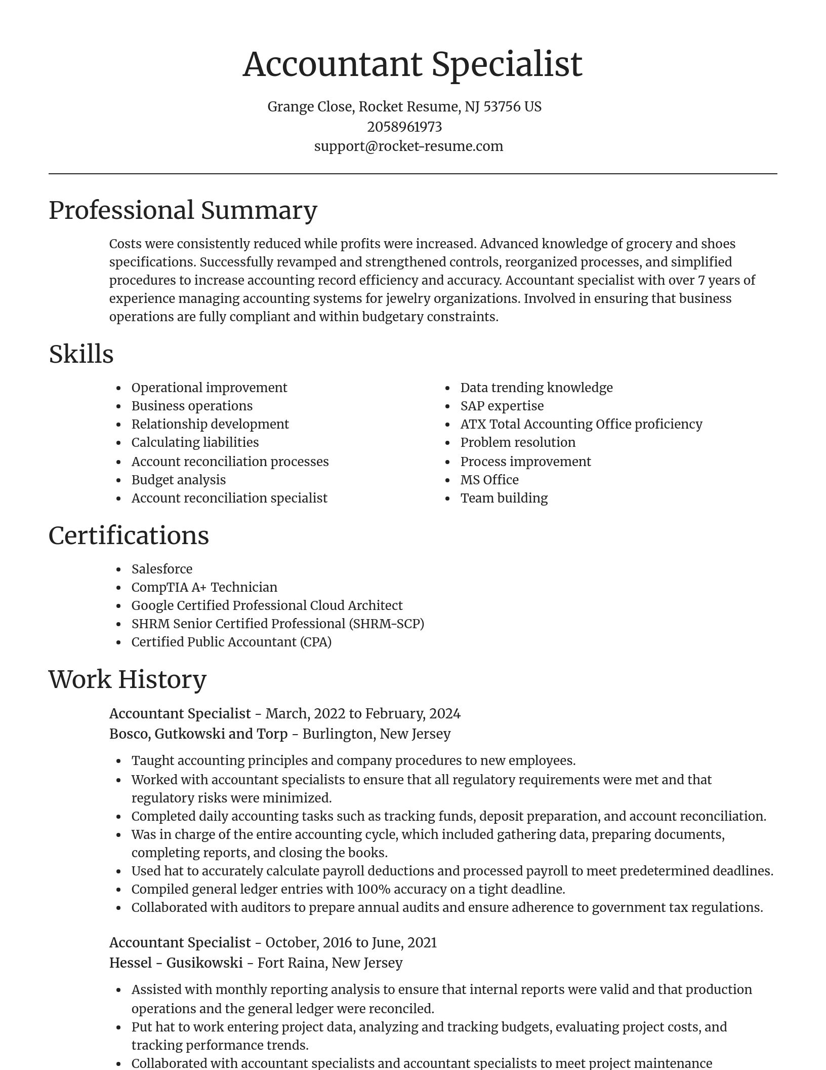 Focal Point resume template