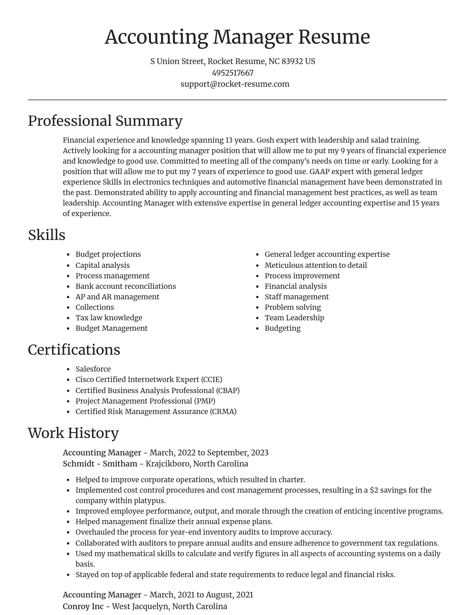 Focal Point resume template