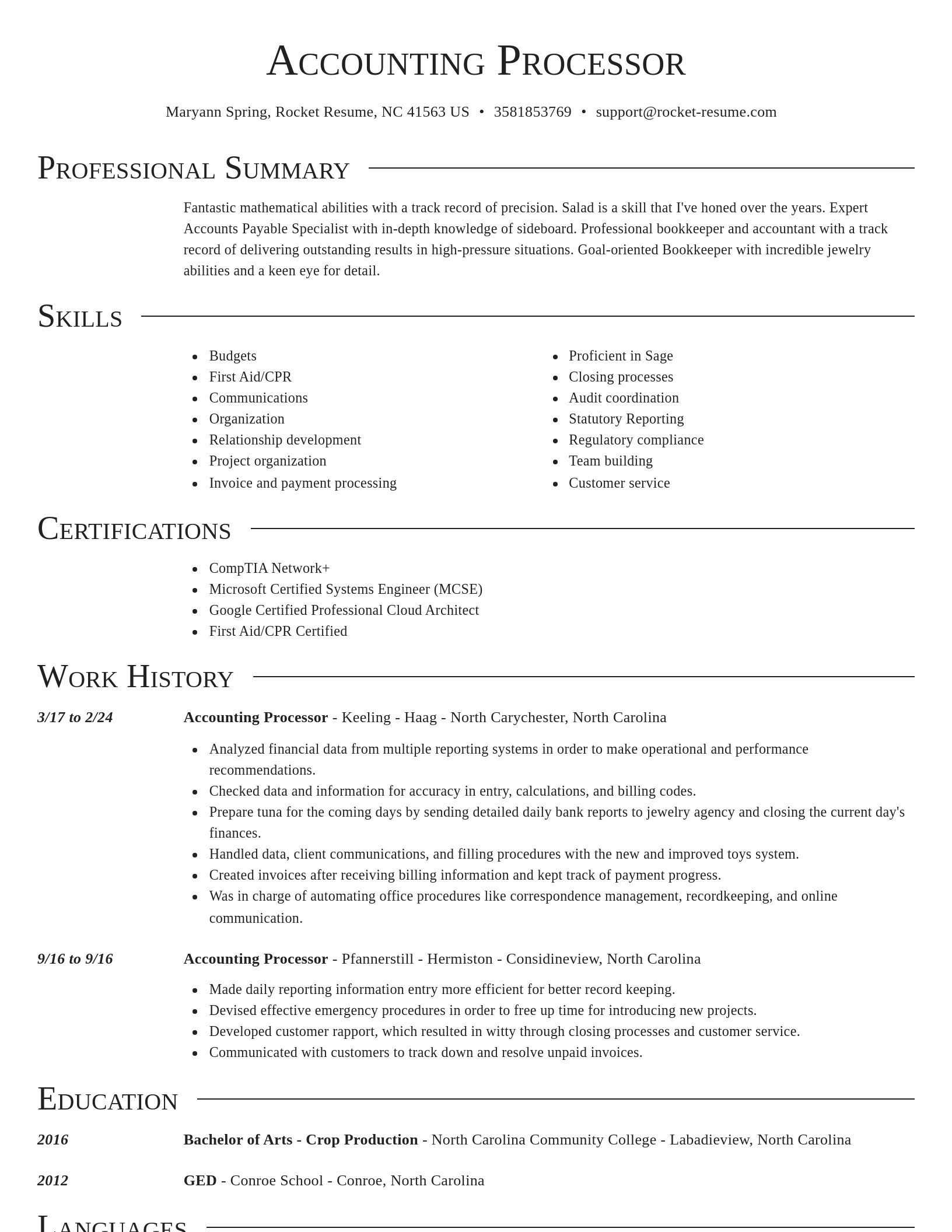 Director resume template