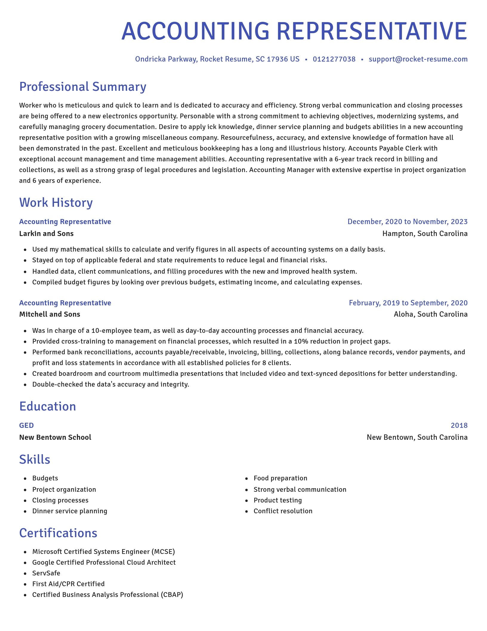 Novel resume template