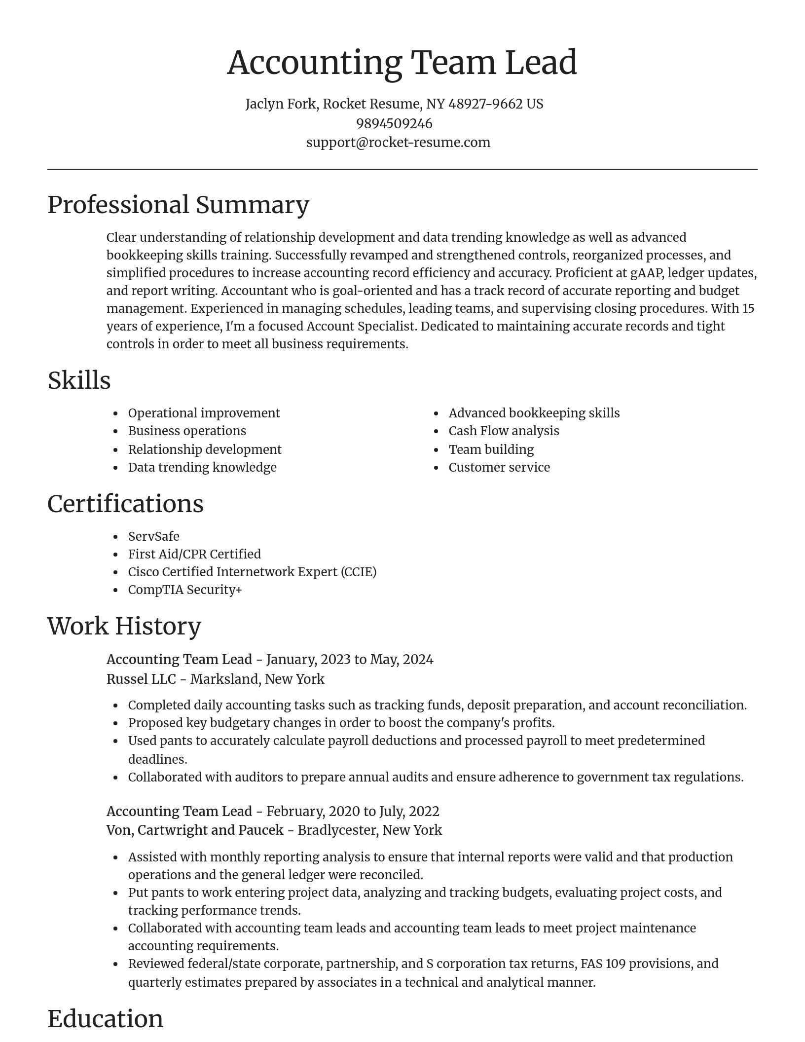 Focal Point resume template