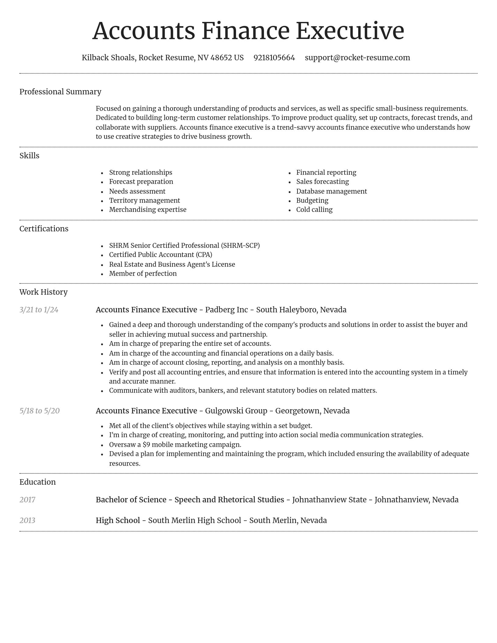 Dignified resume template
