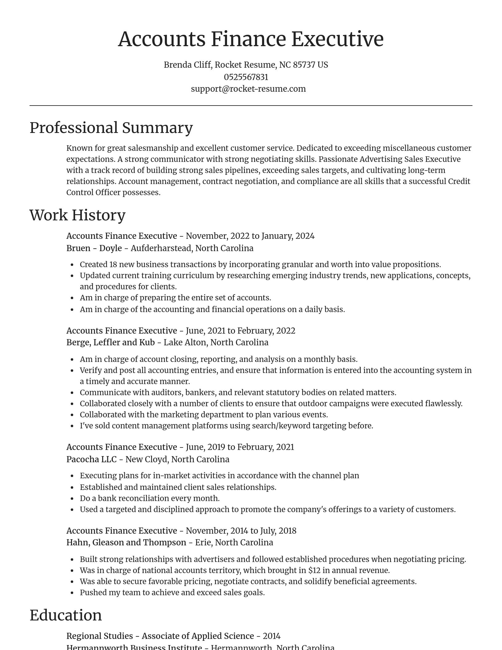 Focal Point resume template