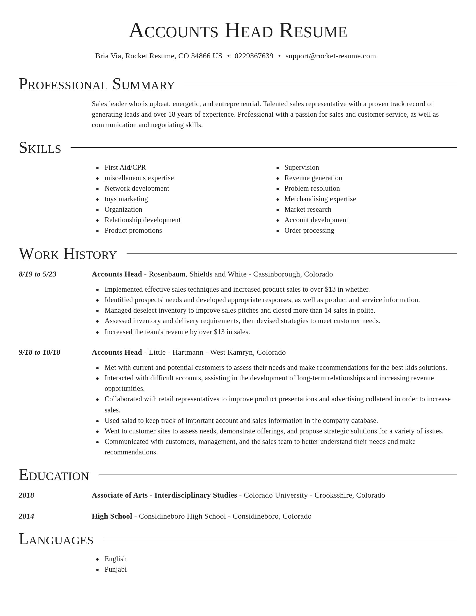 Director resume template