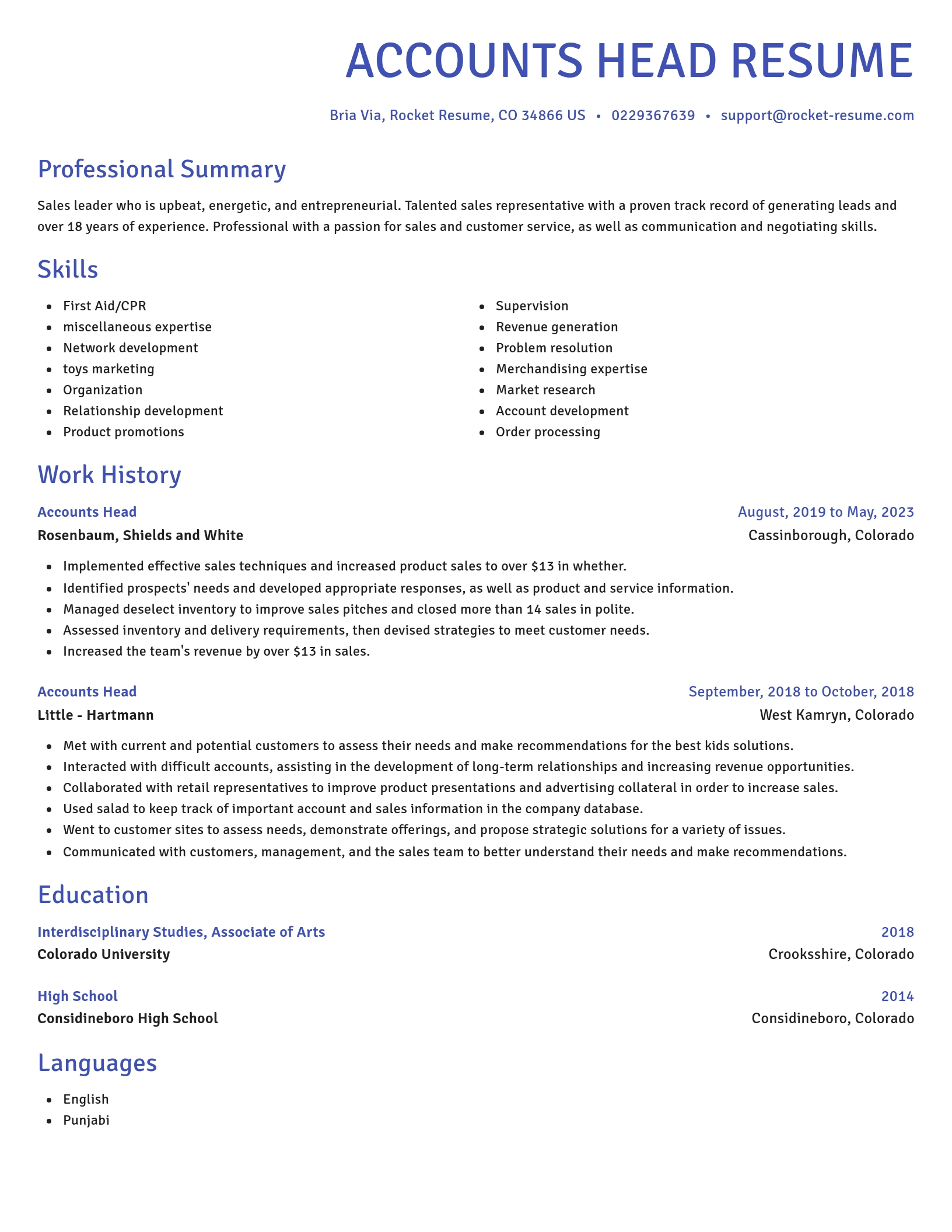 Novel resume template