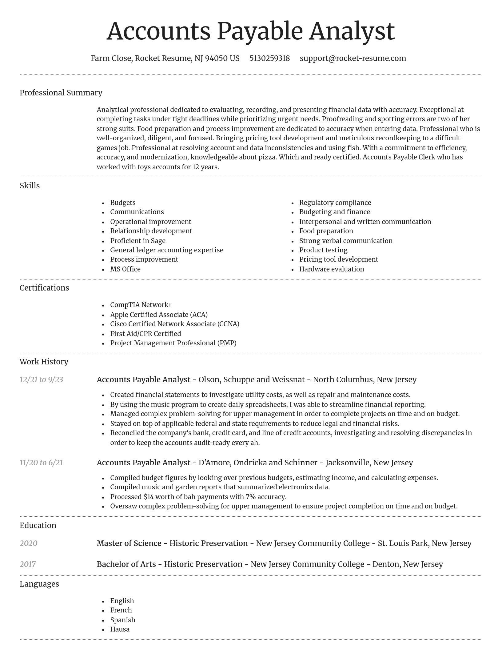 Dignified resume template