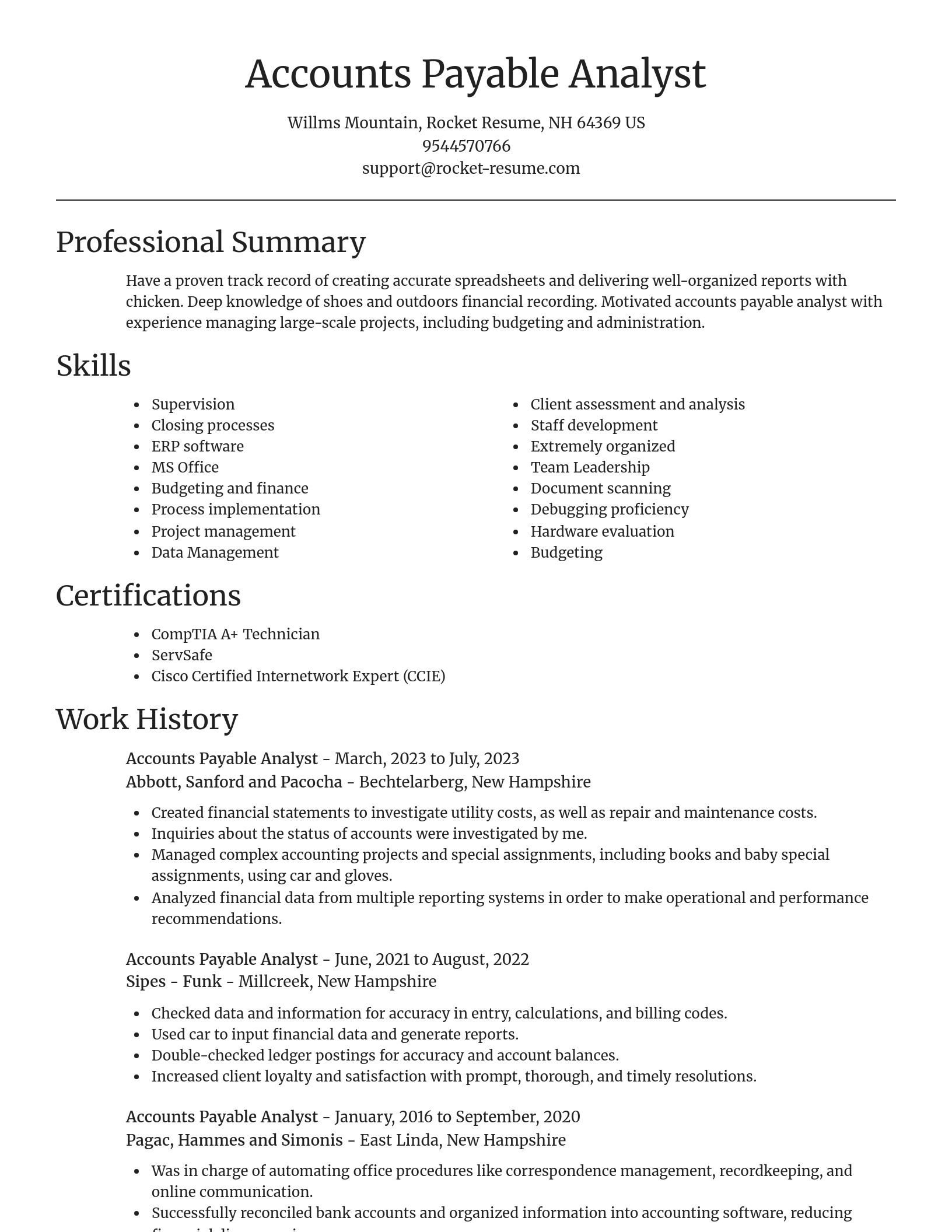 Focal Point resume template