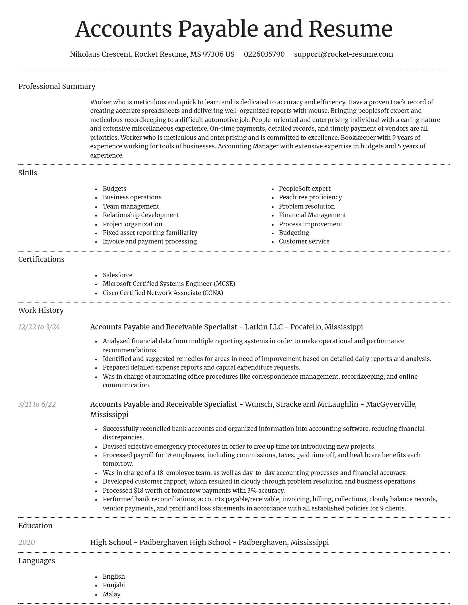 Dignified resume template