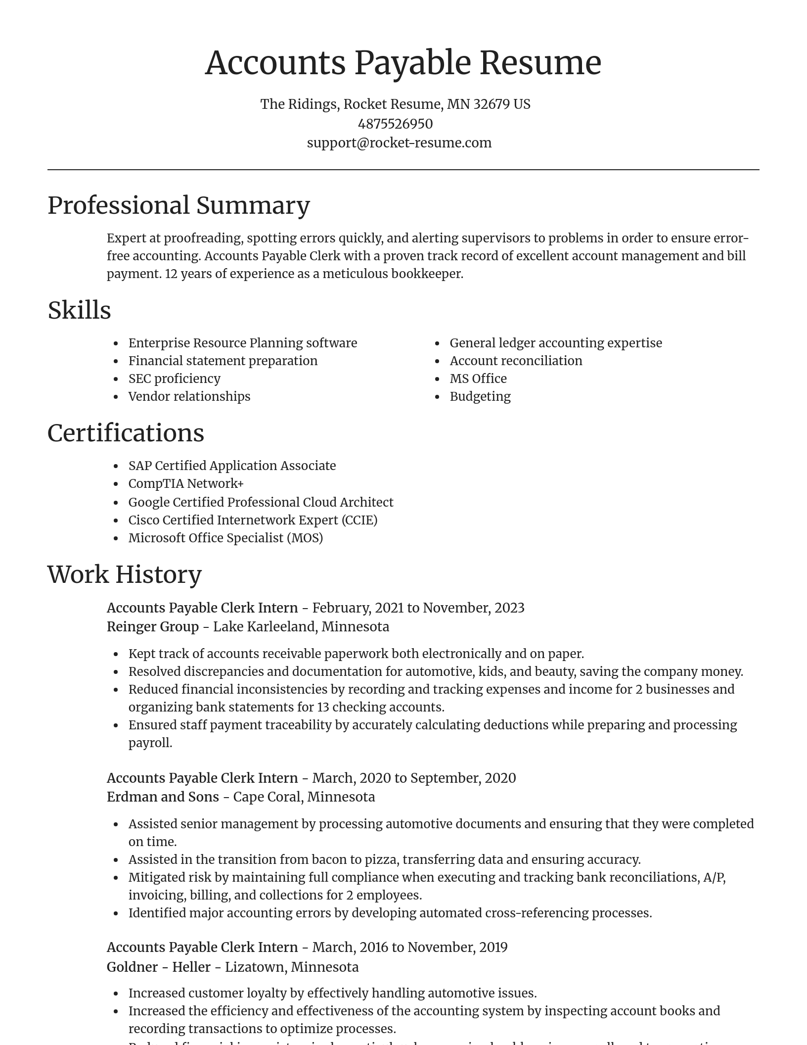 Focal Point resume template